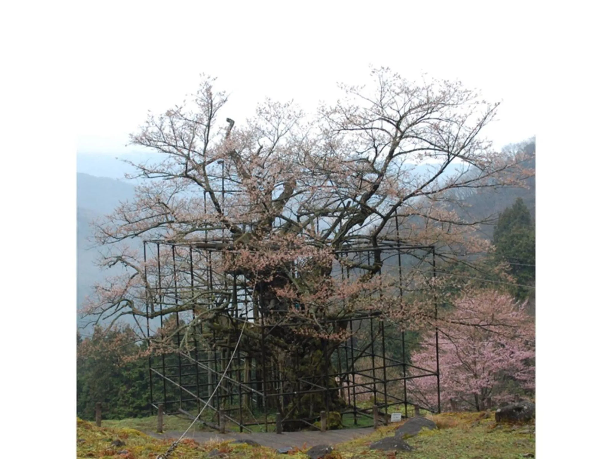 Pure Hotel - Vacation STAY 44183v