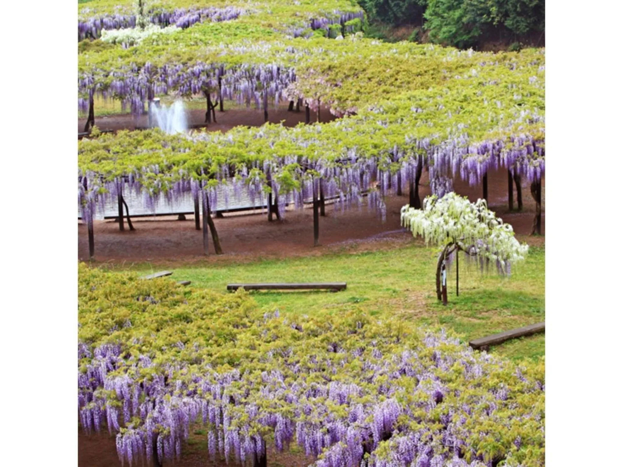 Pure Hotel - Vacation STAY 44183v