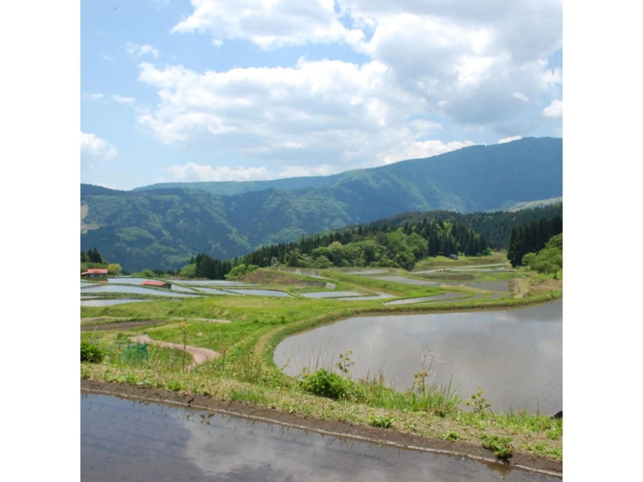 Pure Hotel - Vacation STAY 44183v