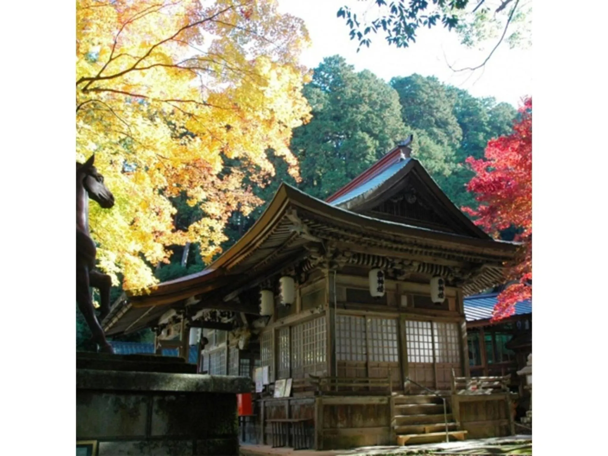 Pure Hotel - Vacation STAY 44187v