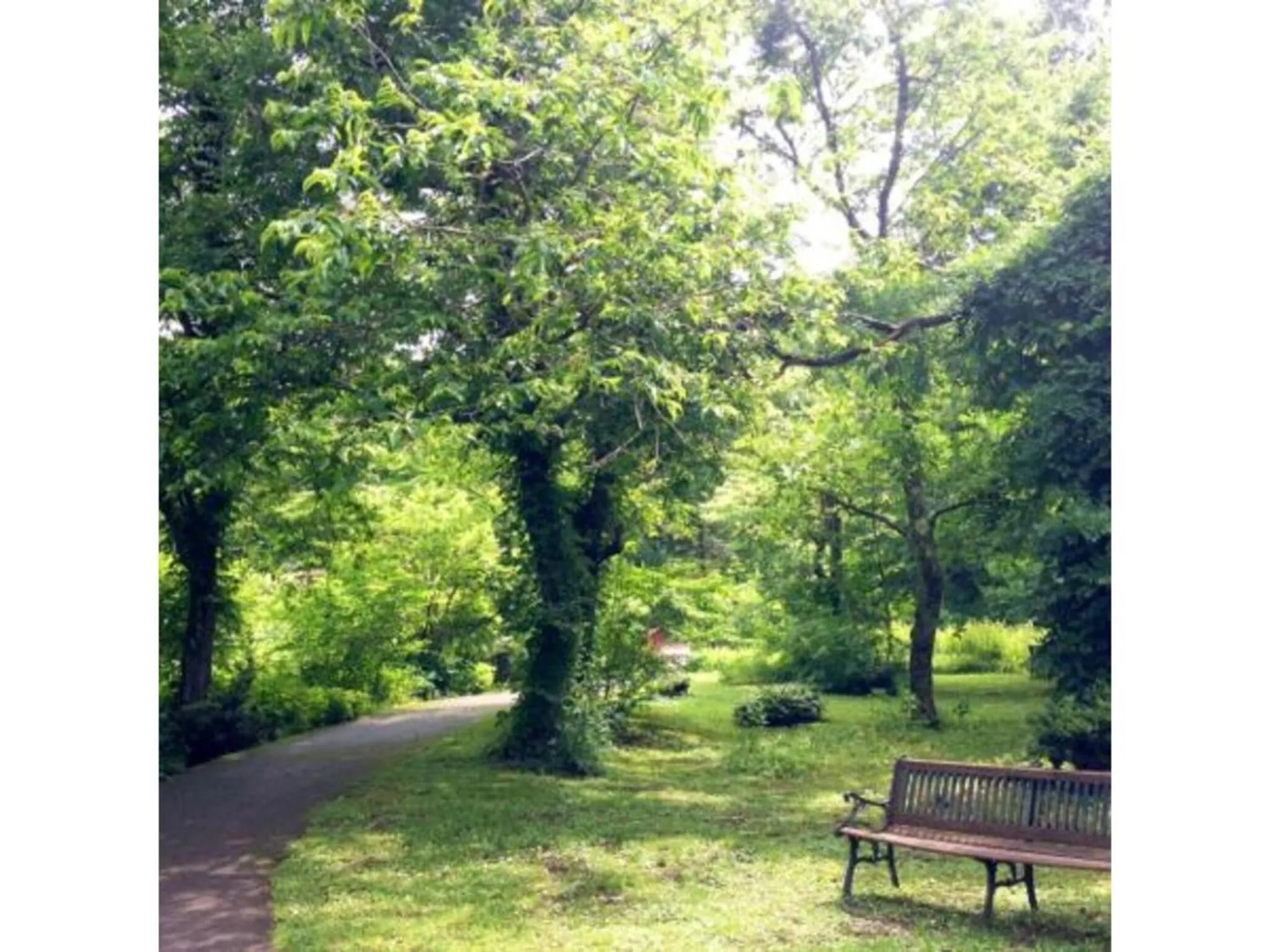 Pure Hotel - Vacation STAY 44187v