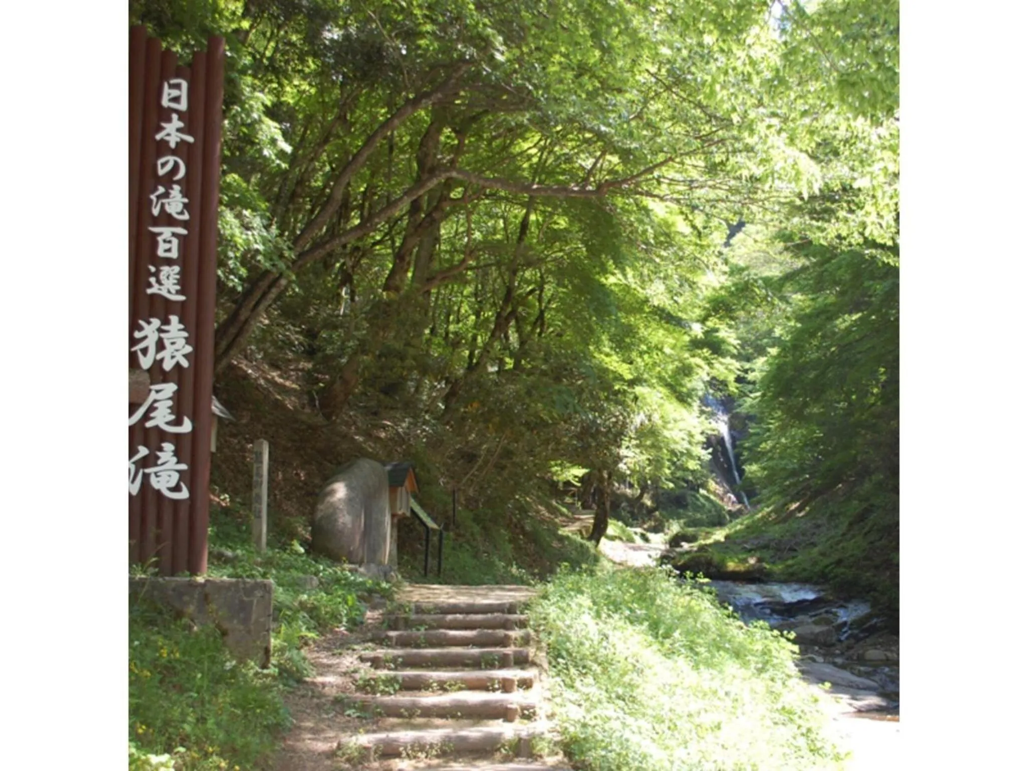 Pure Hotel - Vacation STAY 44187v