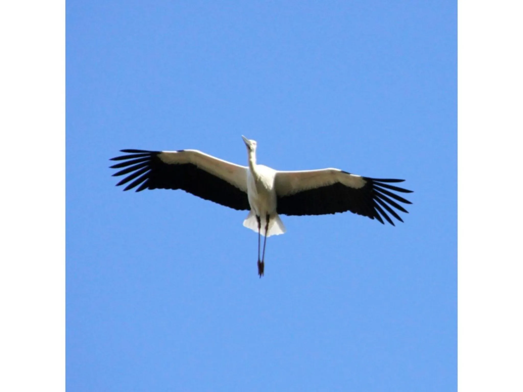 Pure Hotel - Vacation STAY 44177v