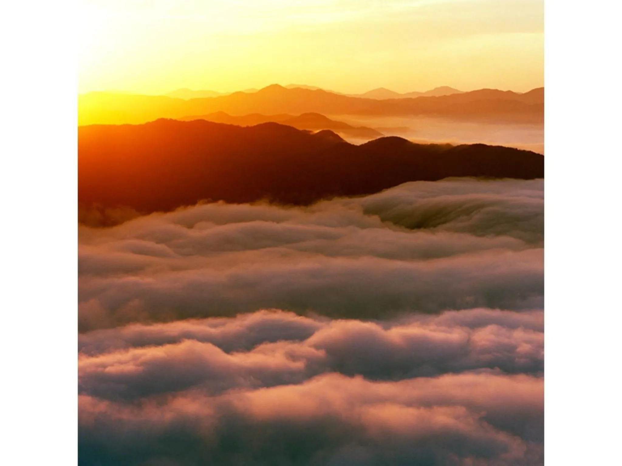 Pure Hotel - Vacation STAY 44177v