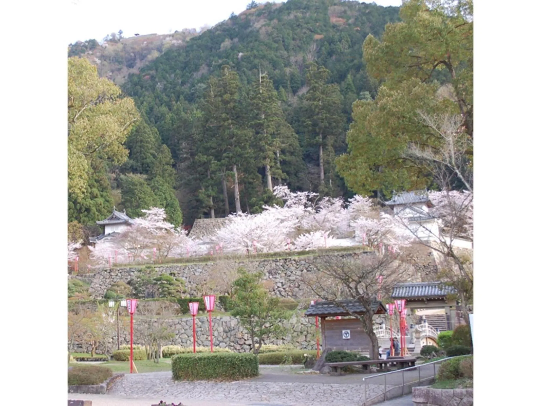 Pure Hotel - Vacation STAY 44177v