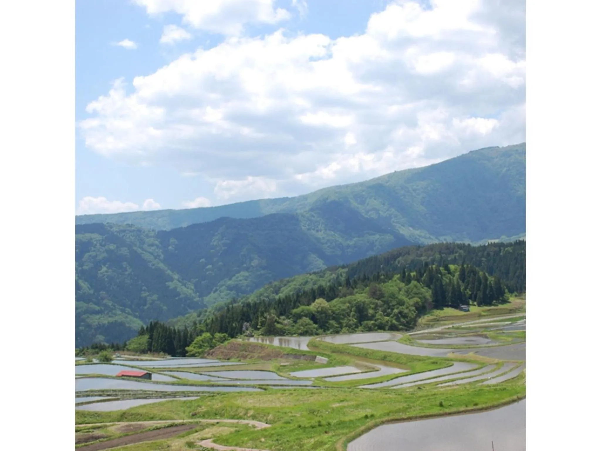 Pure Hotel - Vacation STAY 44177v