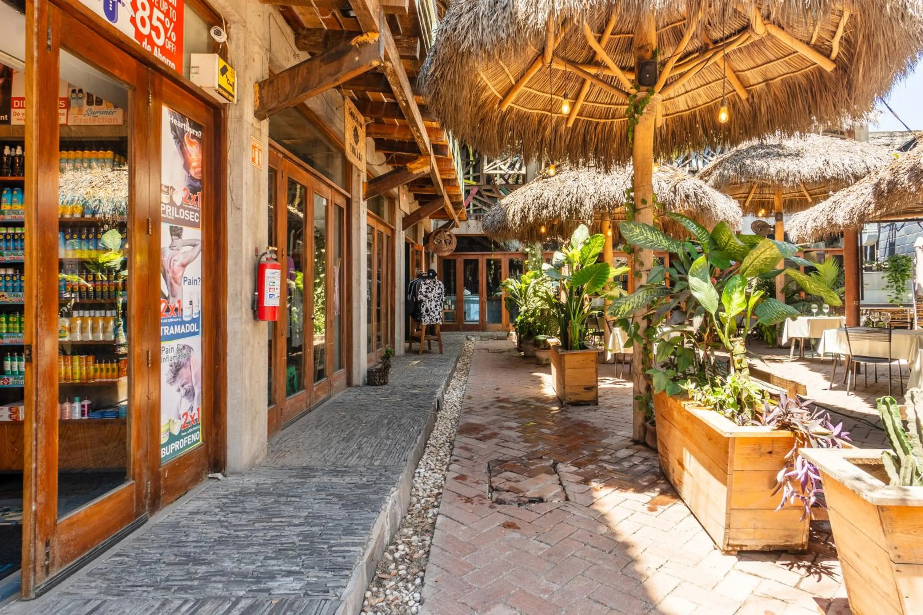 Property building in Papelillo Lofts