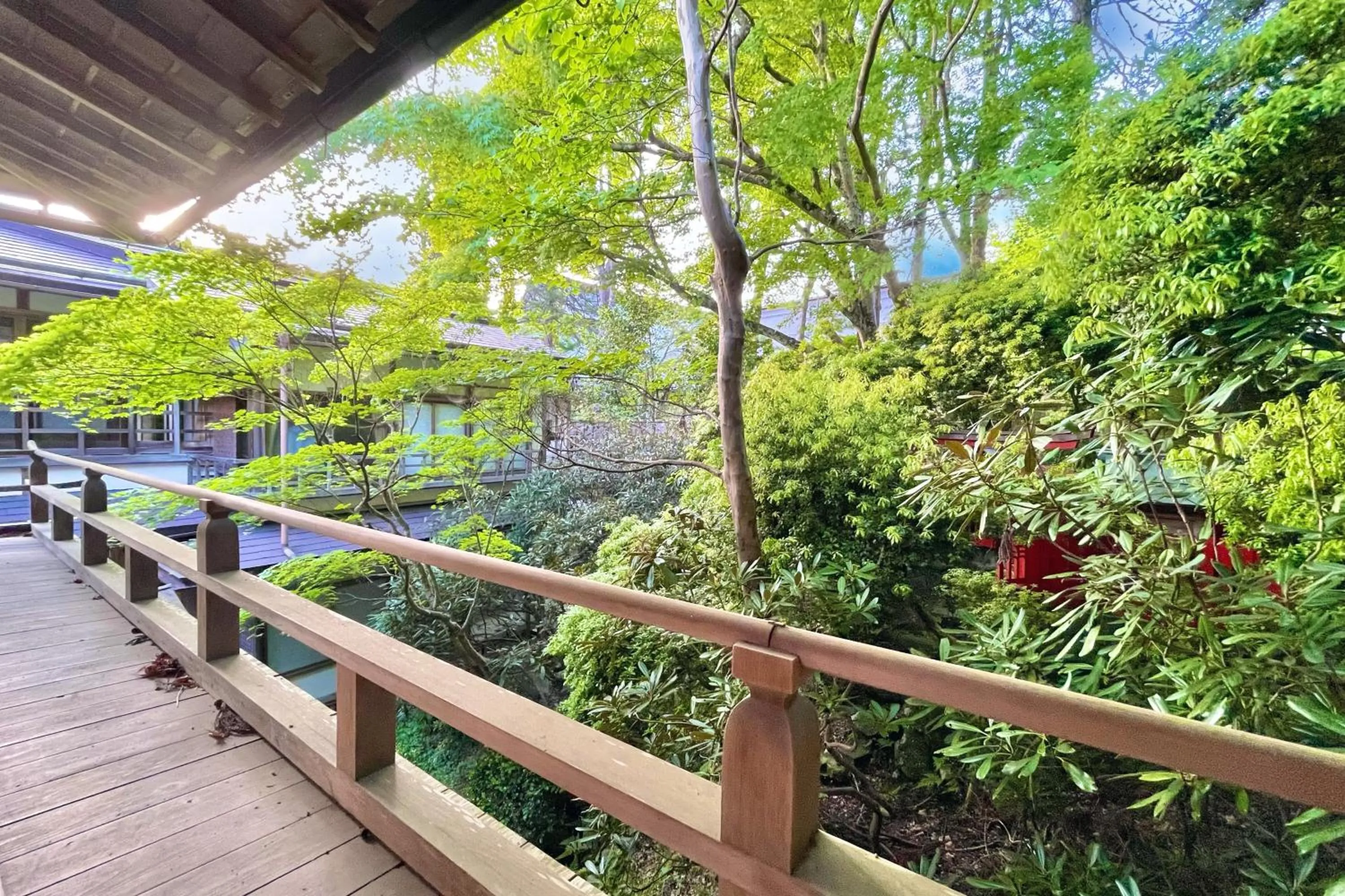 Garden view in Koyasan Shukubo Fugenin