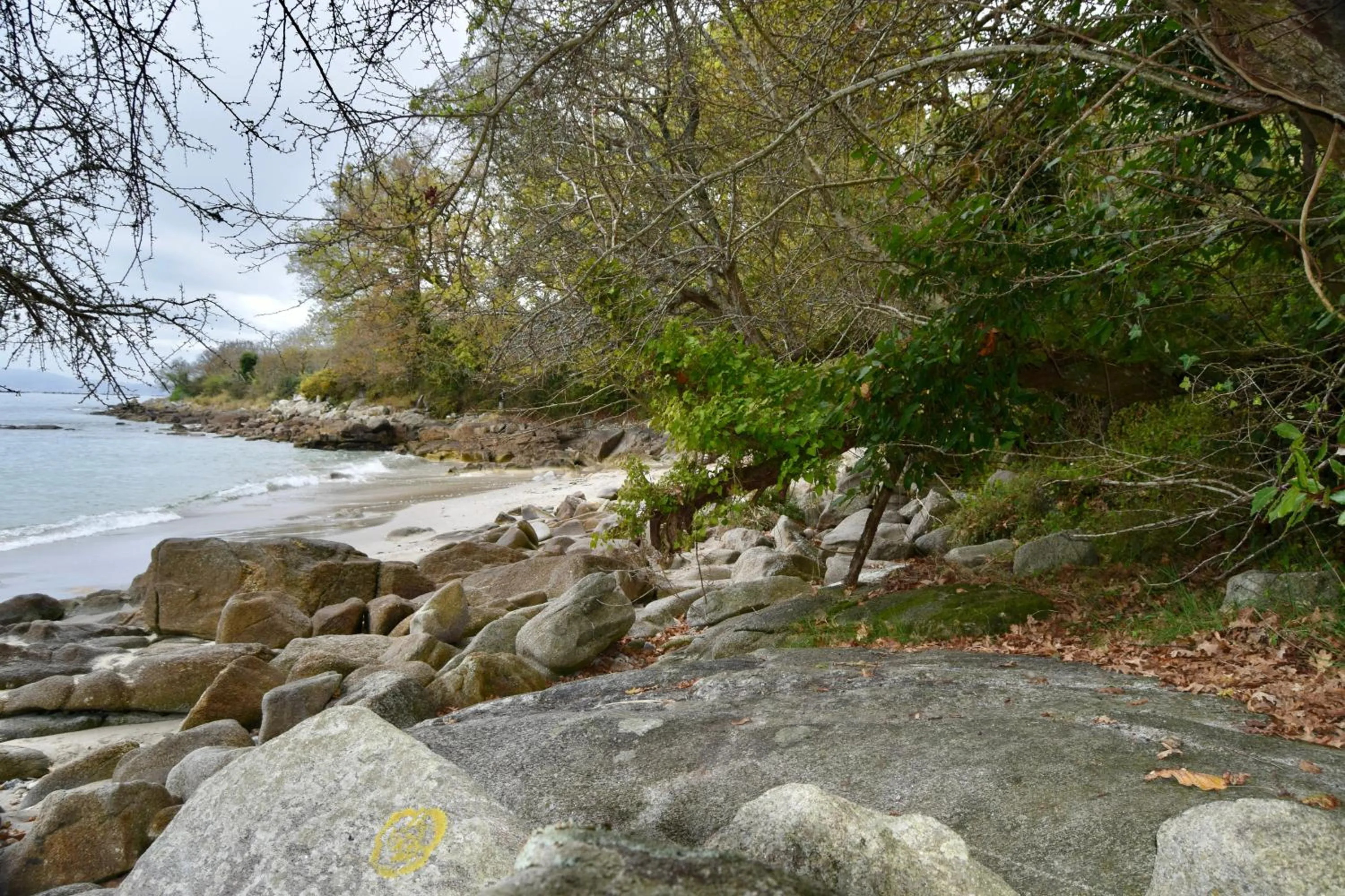 Beach in HOTEL MAREA
