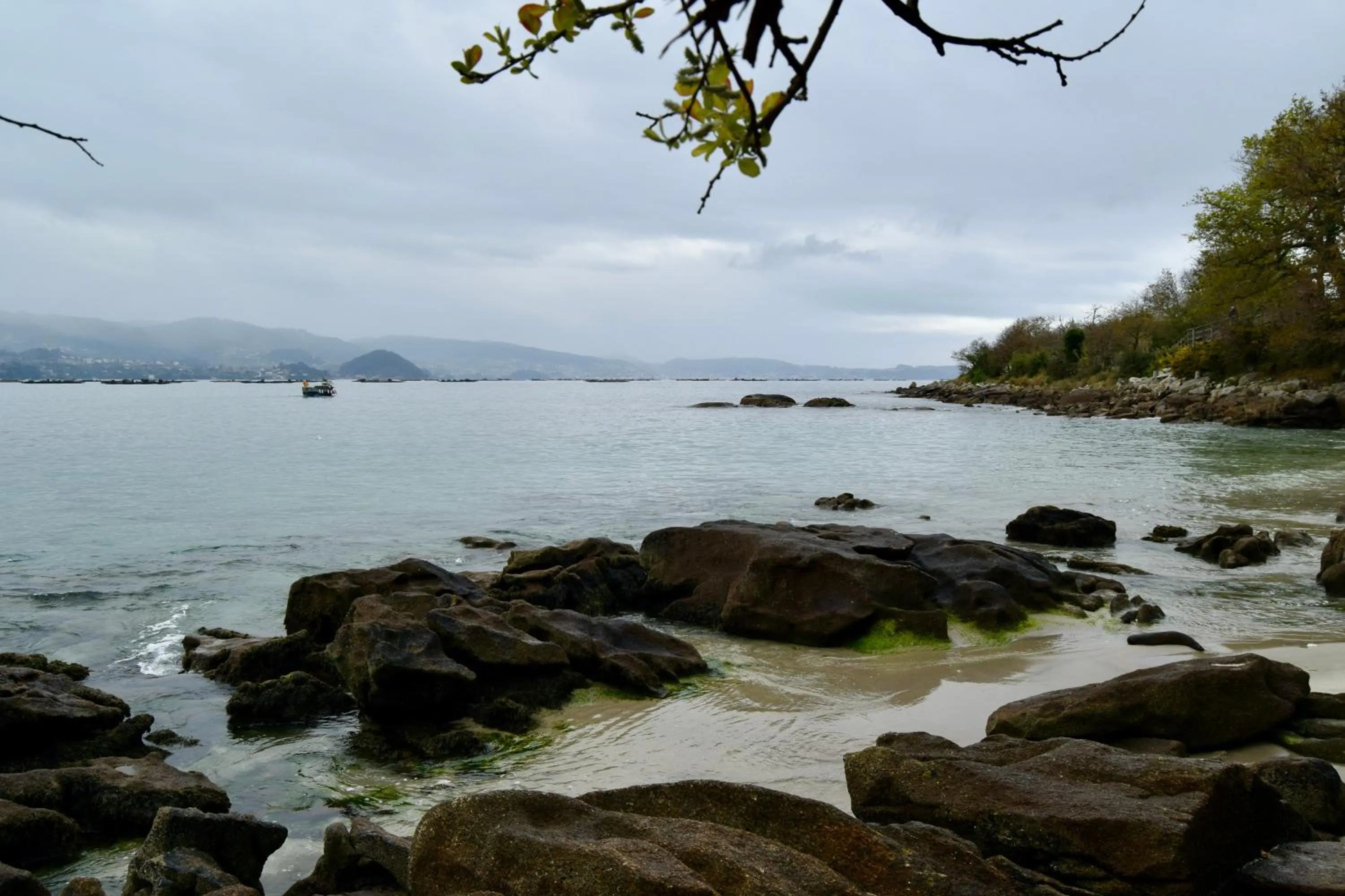 Natural landscape in HOTEL MAREA