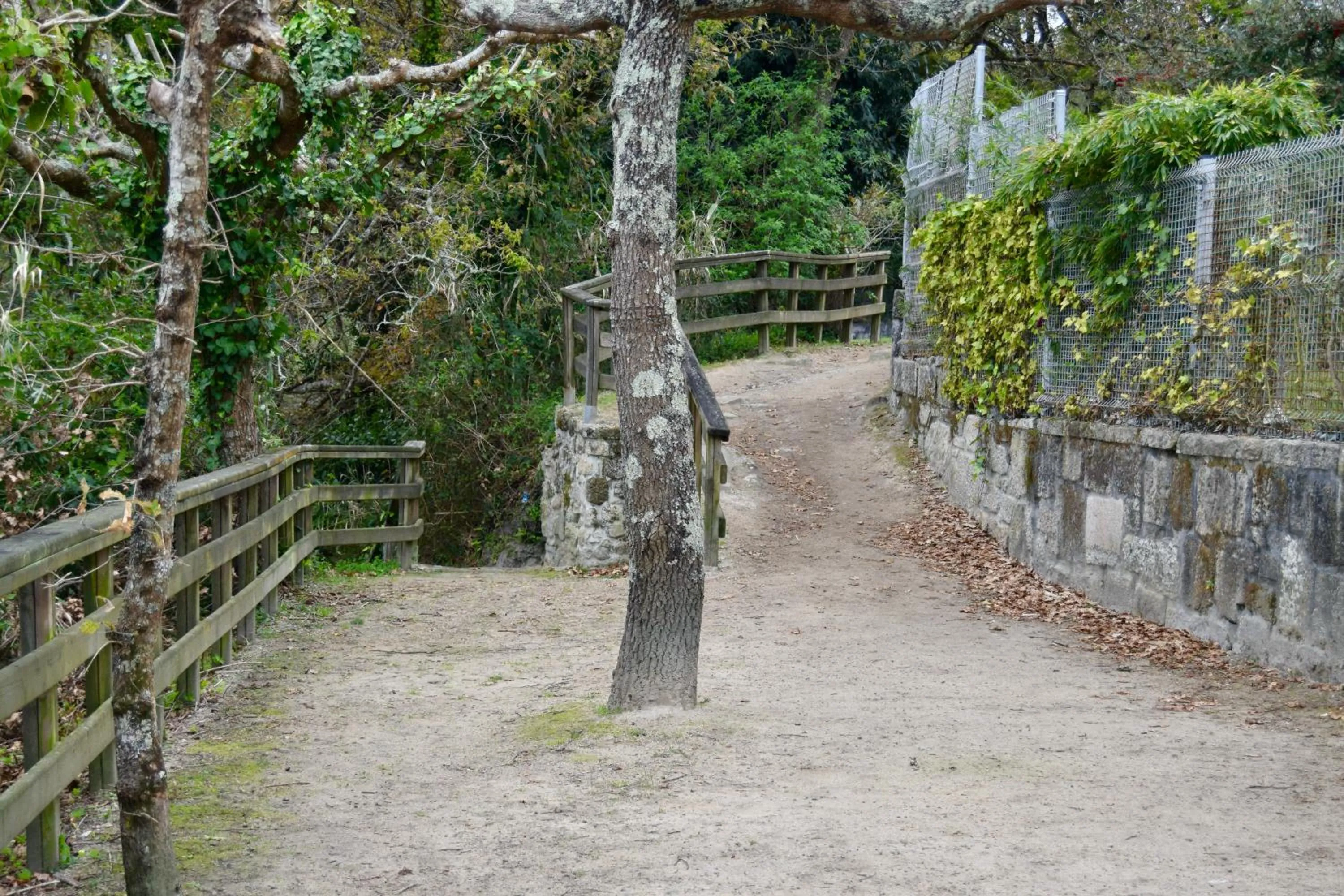 Natural landscape in HOTEL MAREA
