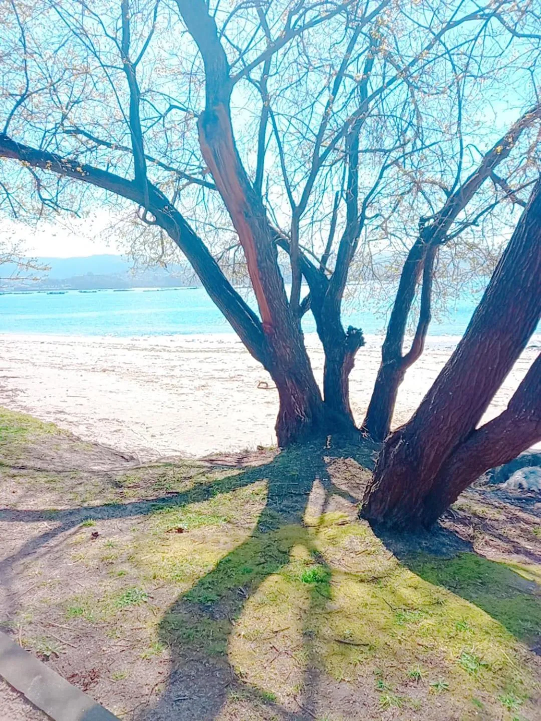 Natural landscape in HOTEL MAREA