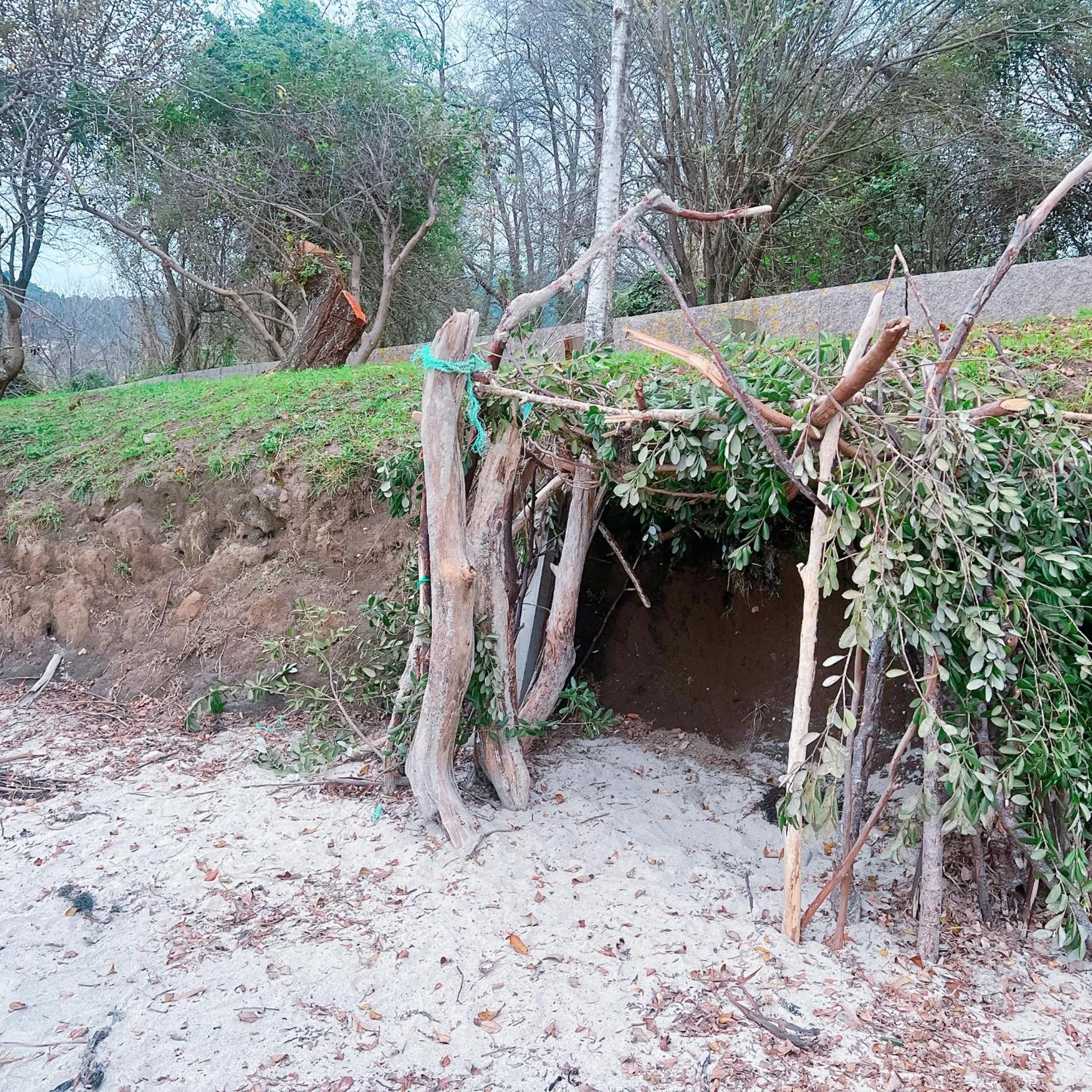 Natural landscape in HOTEL MAREA