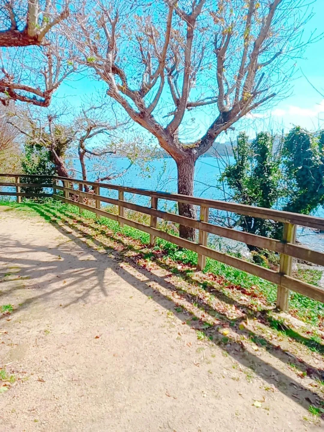 Sea view in HOTEL MAREA