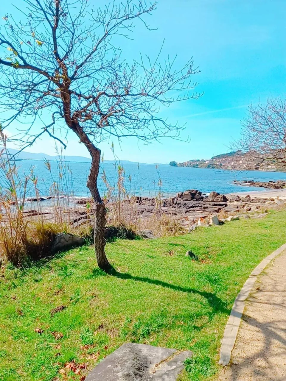 Off site in HOTEL MAREA