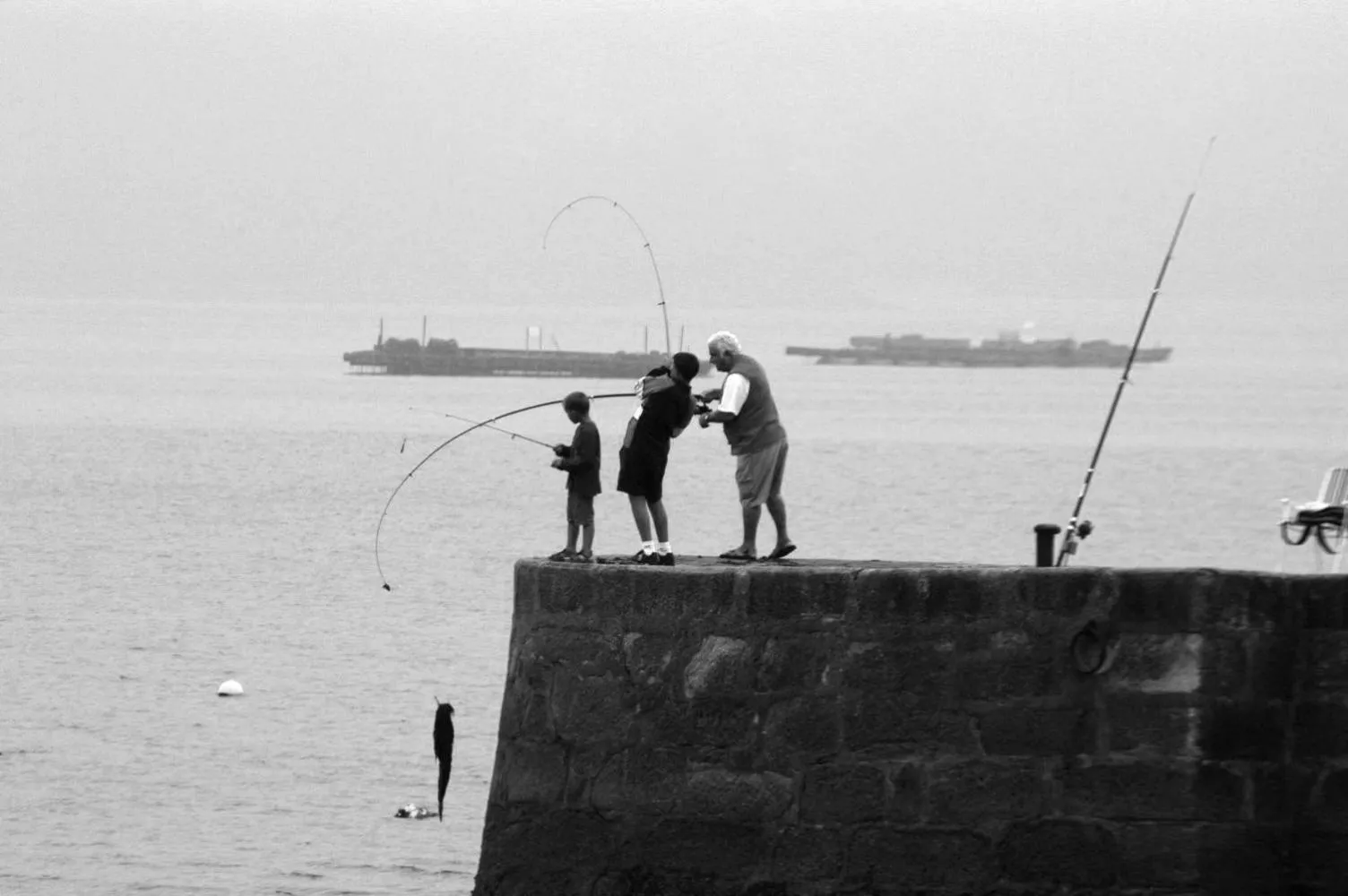 Natural landscape in HOTEL MAREA