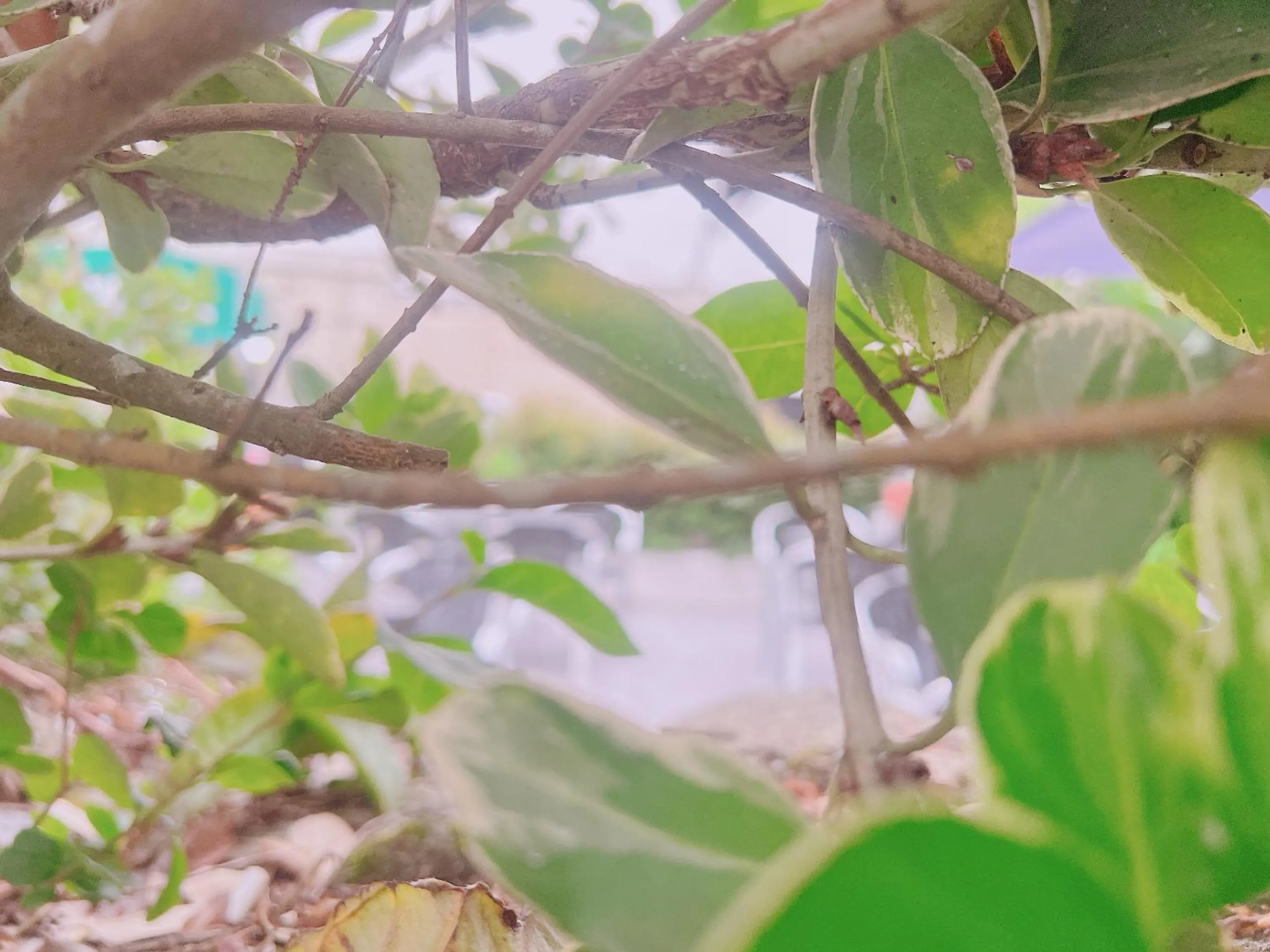 Natural landscape in HOTEL MAREA