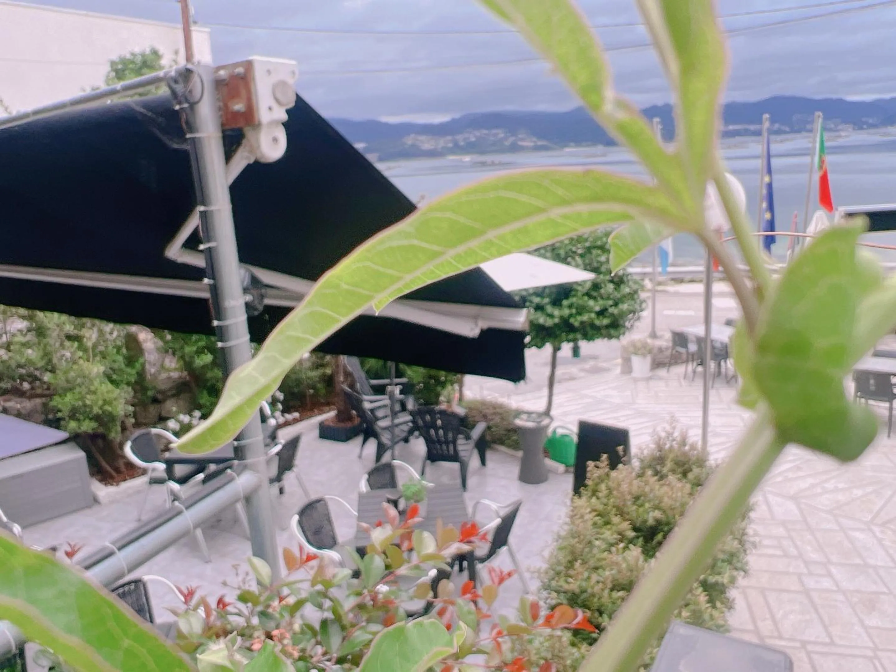 Natural landscape in HOTEL MAREA