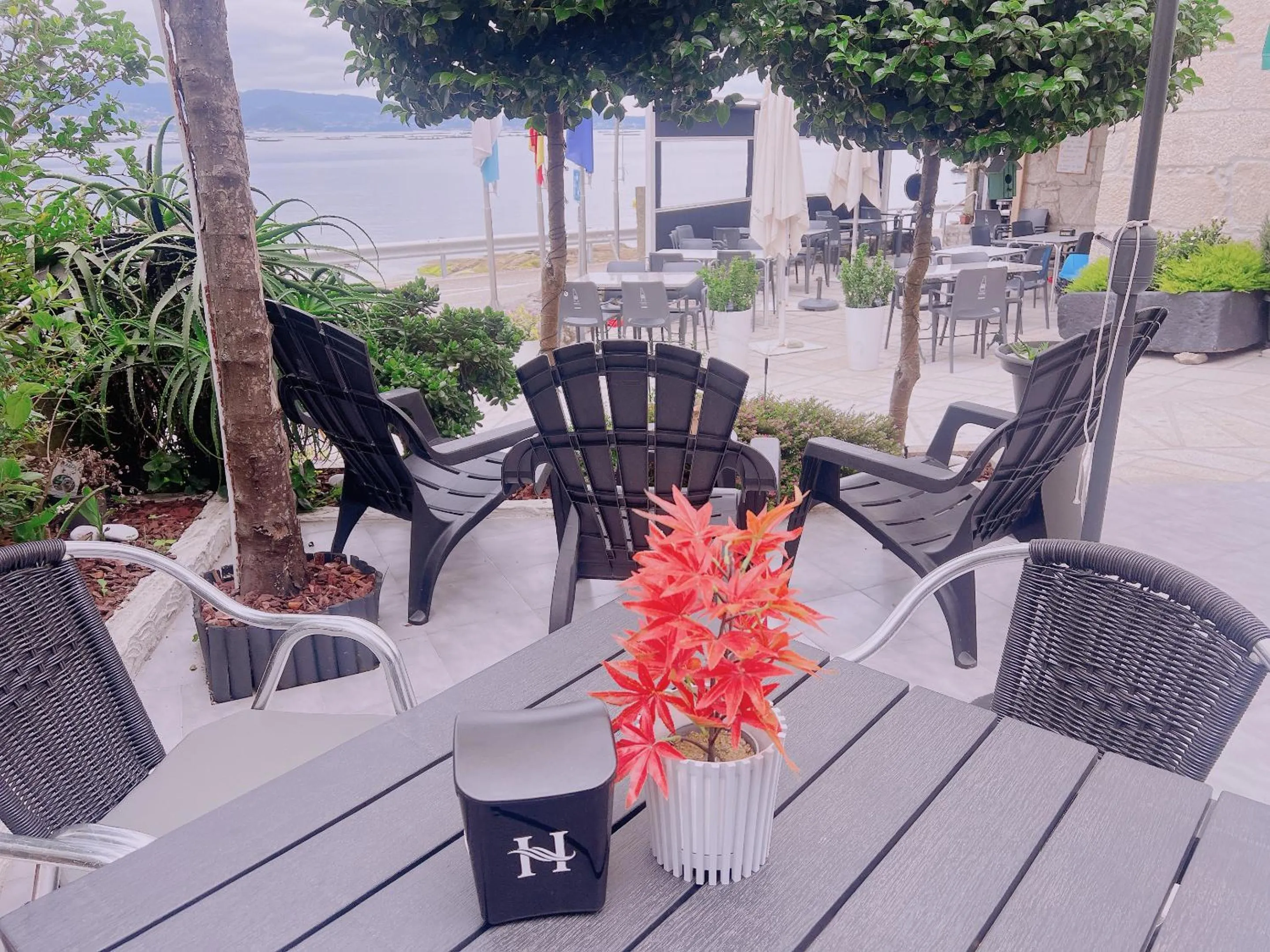 Sea view in HOTEL MAREA