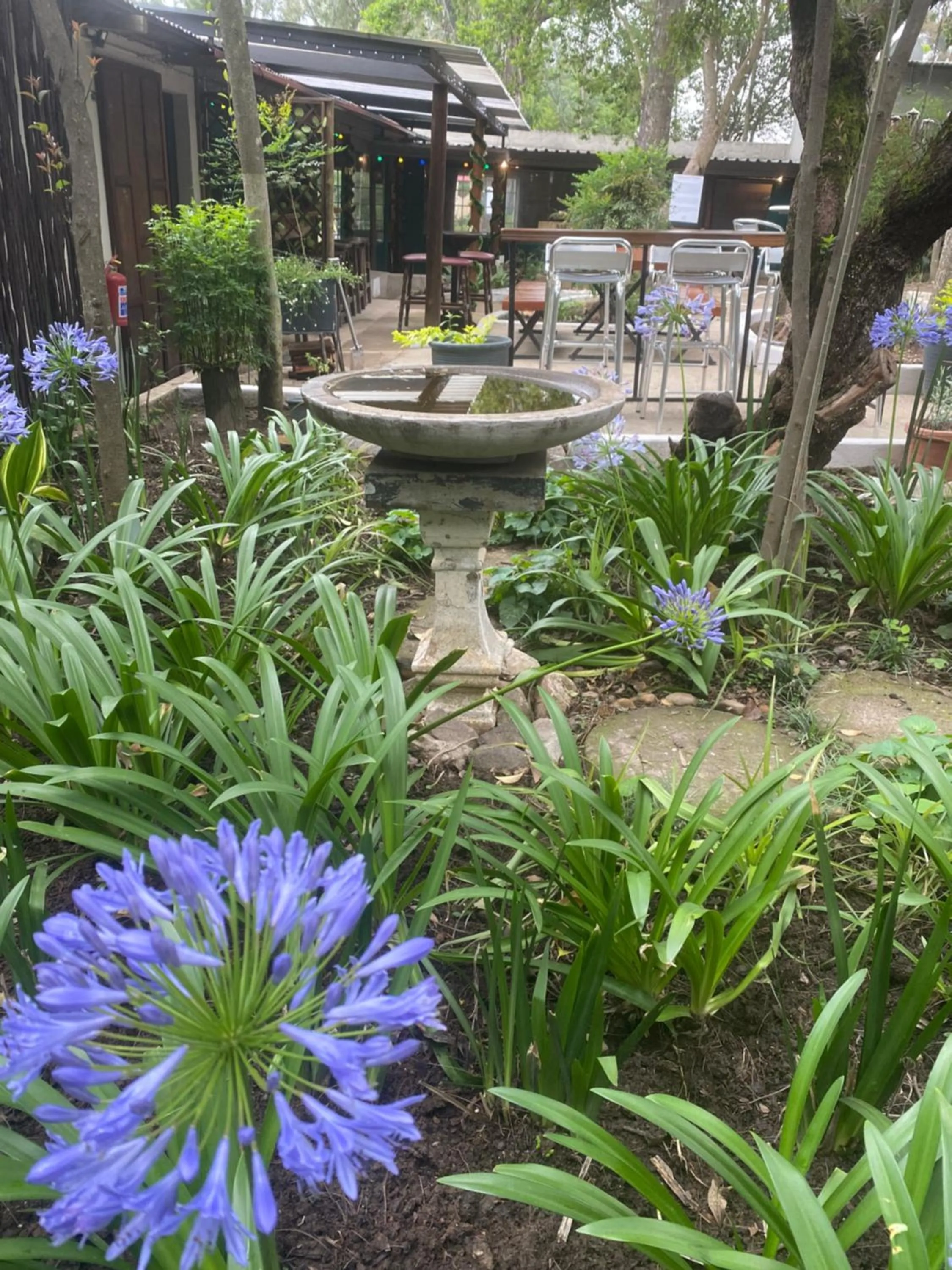 Garden in La Moor Country Venue & Eatery