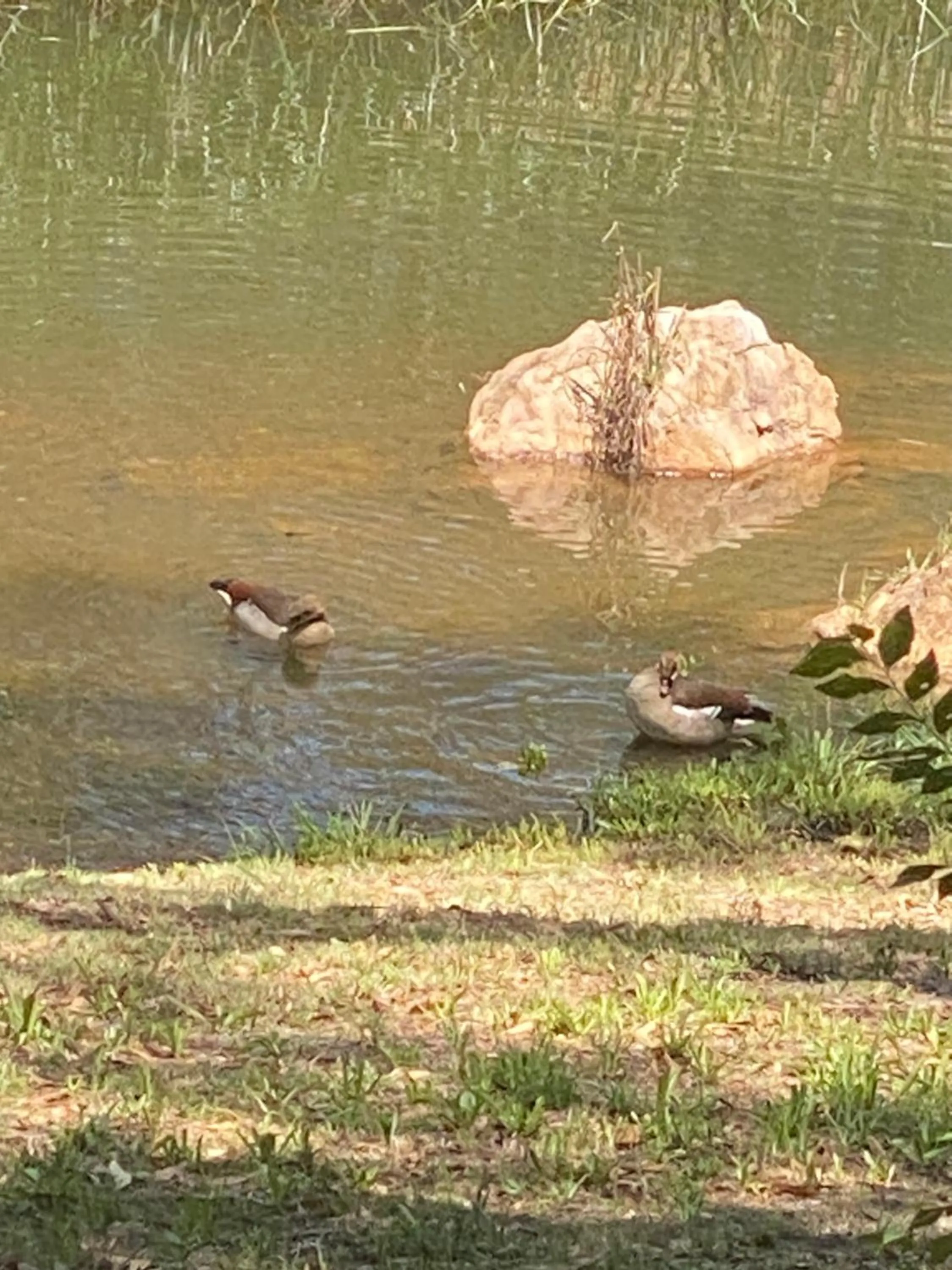 Natural landscape in La Moor Country Venue & Eatery