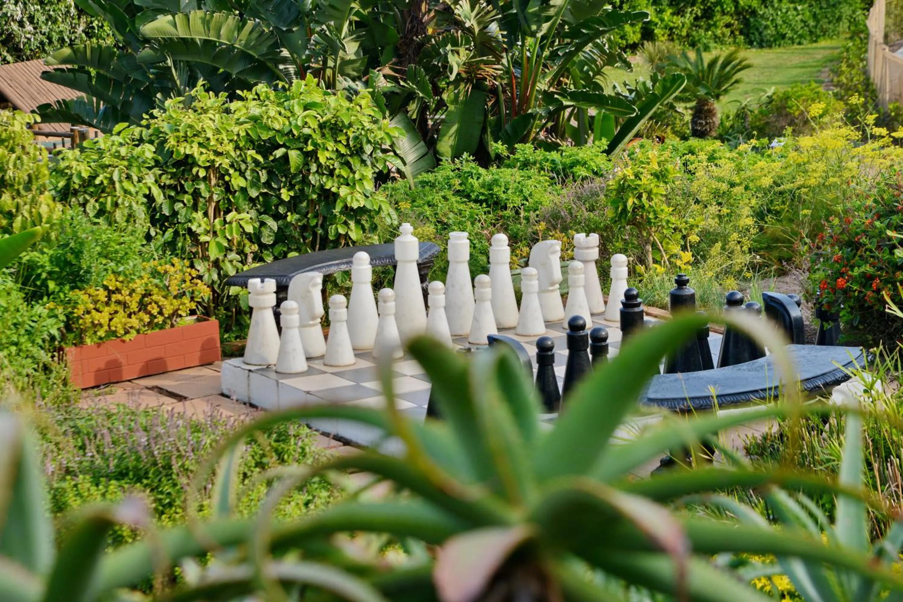 Garden in Pumula Beach Hotel