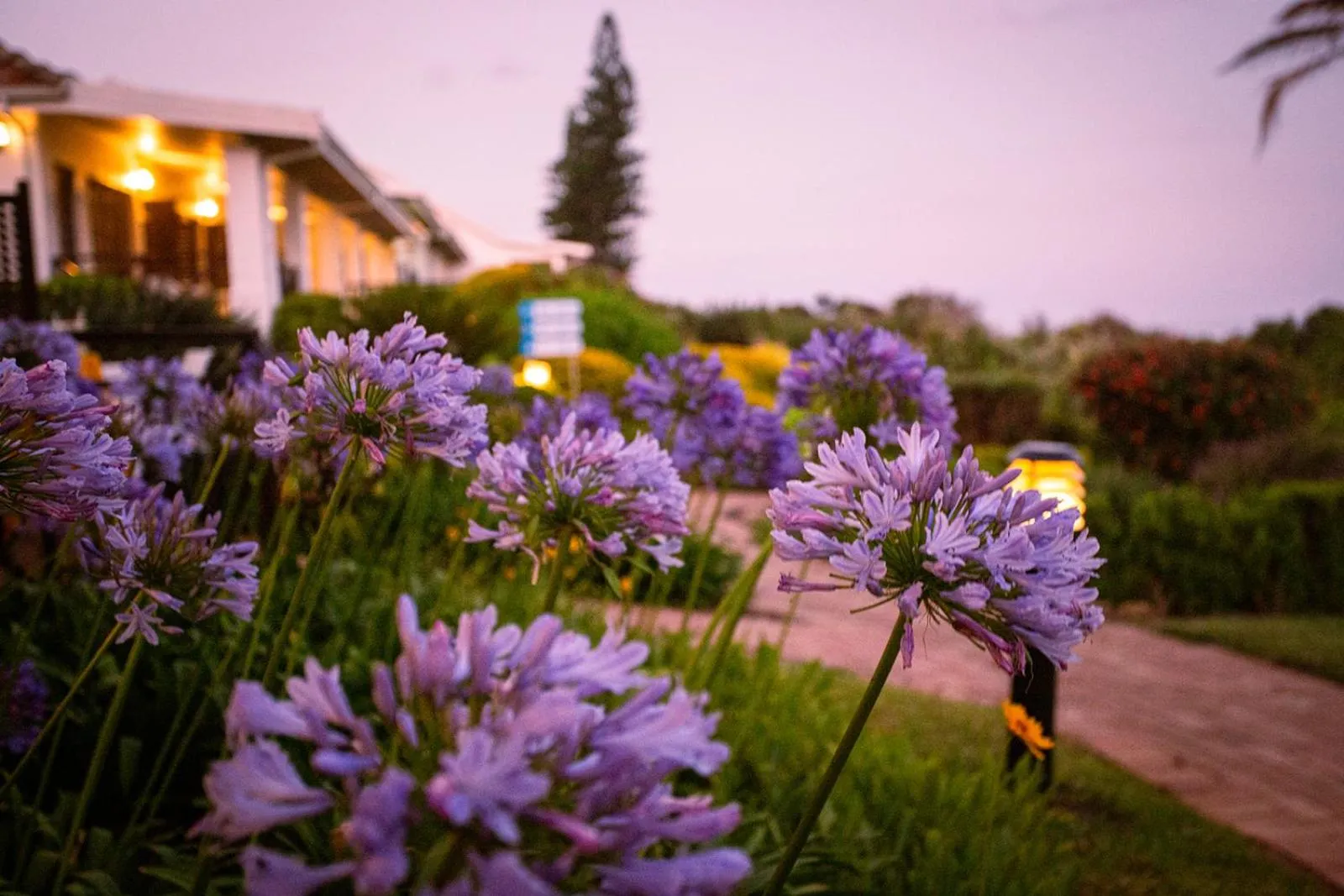 Garden in Pumula Beach Hotel