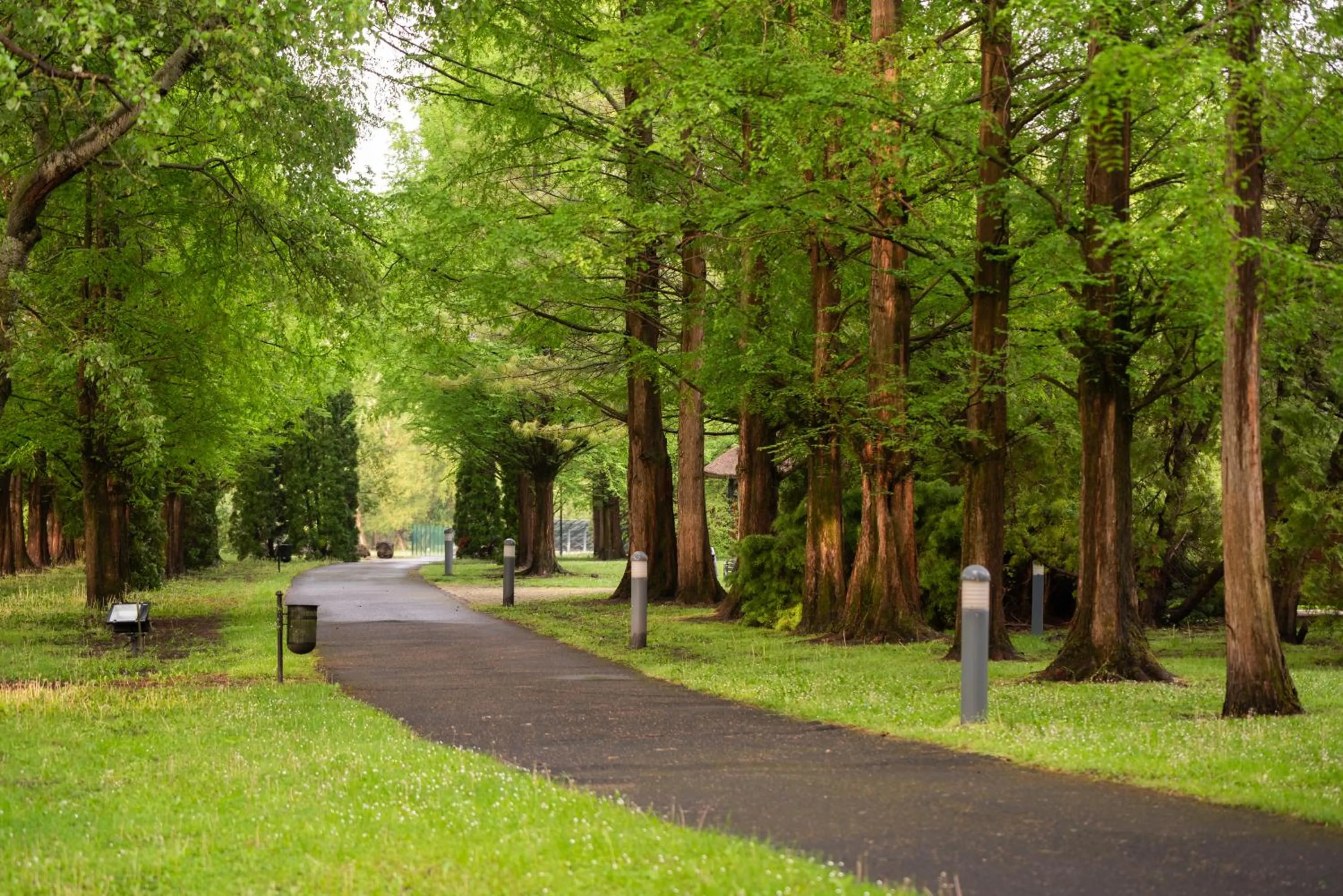 Garden in Lotus Therme Hotel & Spa