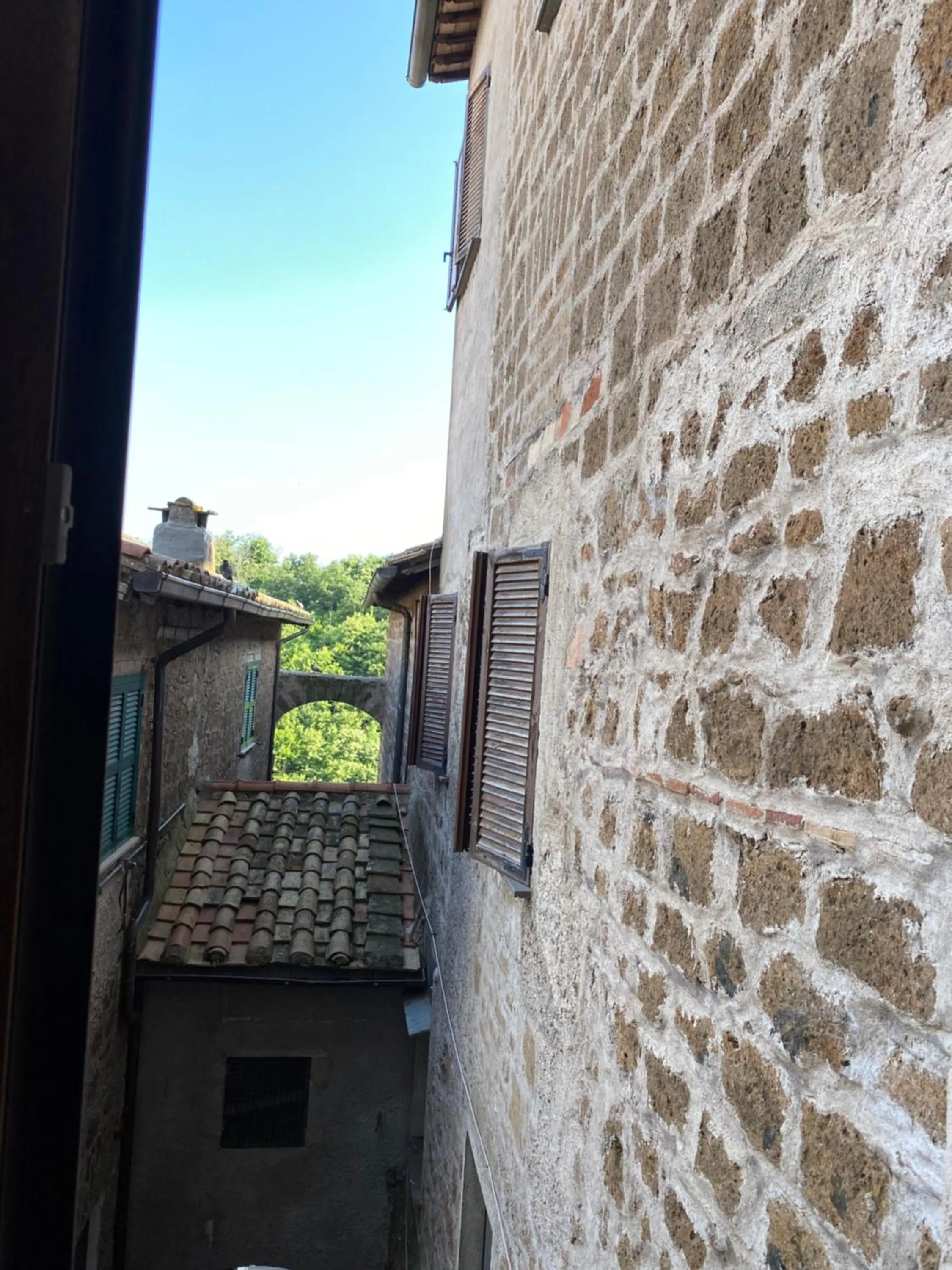 View (from property/room) in Palazzo Forlani