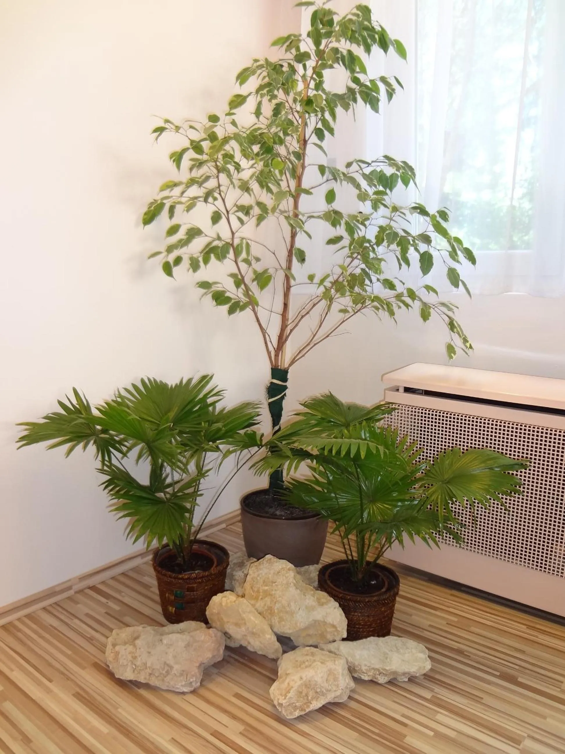 Decorative detail in Hotel Touring