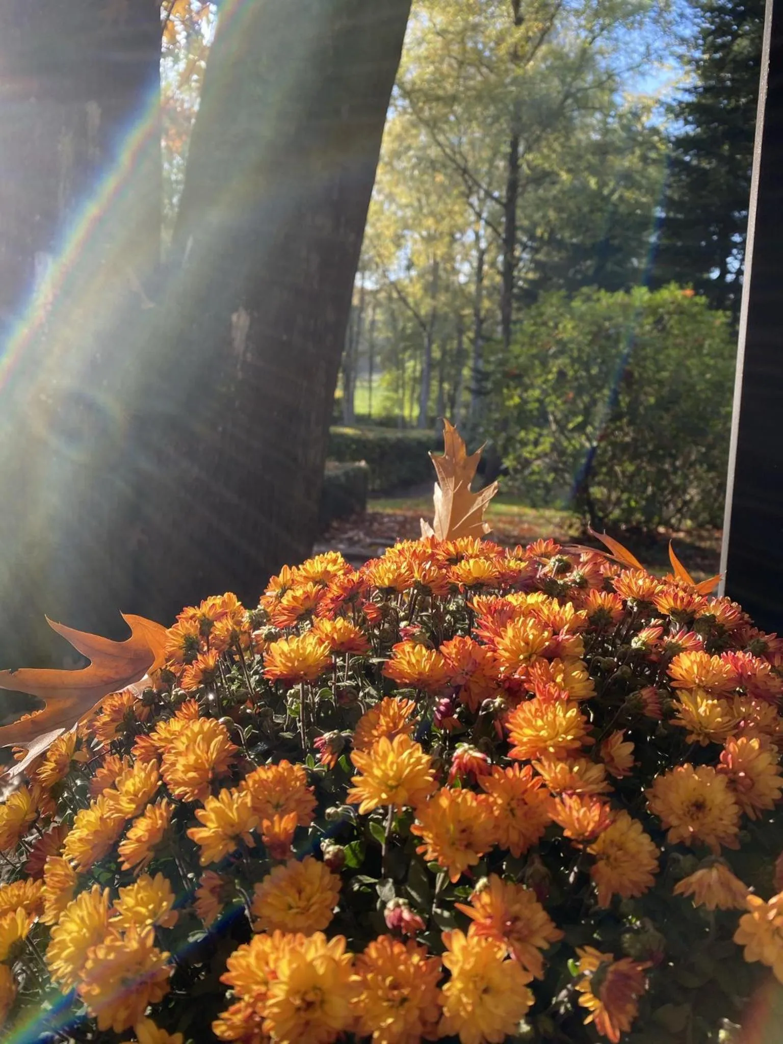 Garden in B&B Miranoza