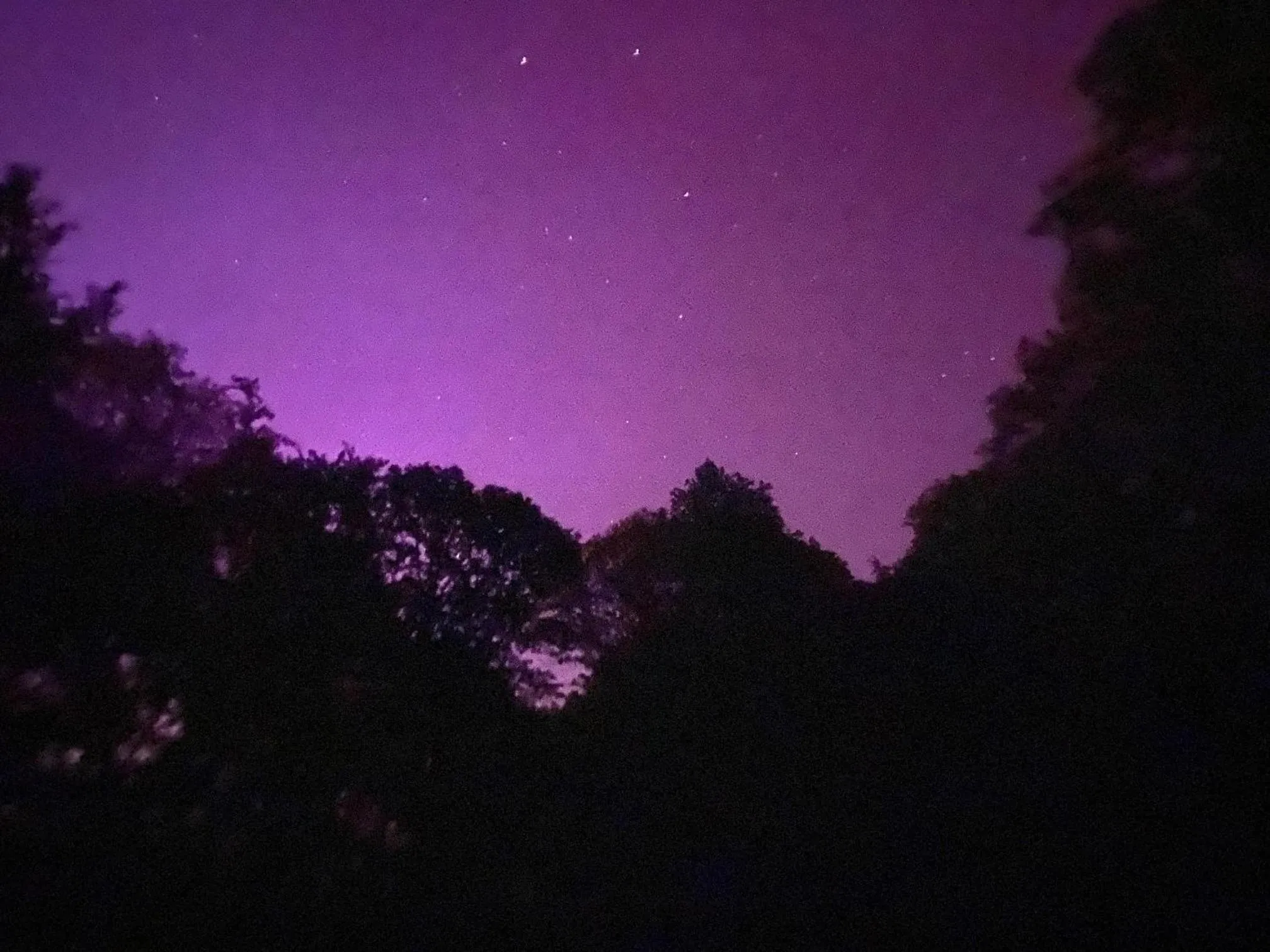 Night in B&B Miranoza