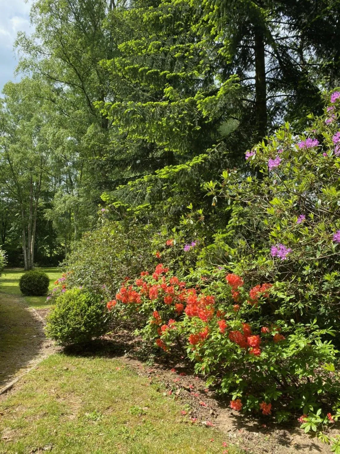 Garden in B&B Miranoza