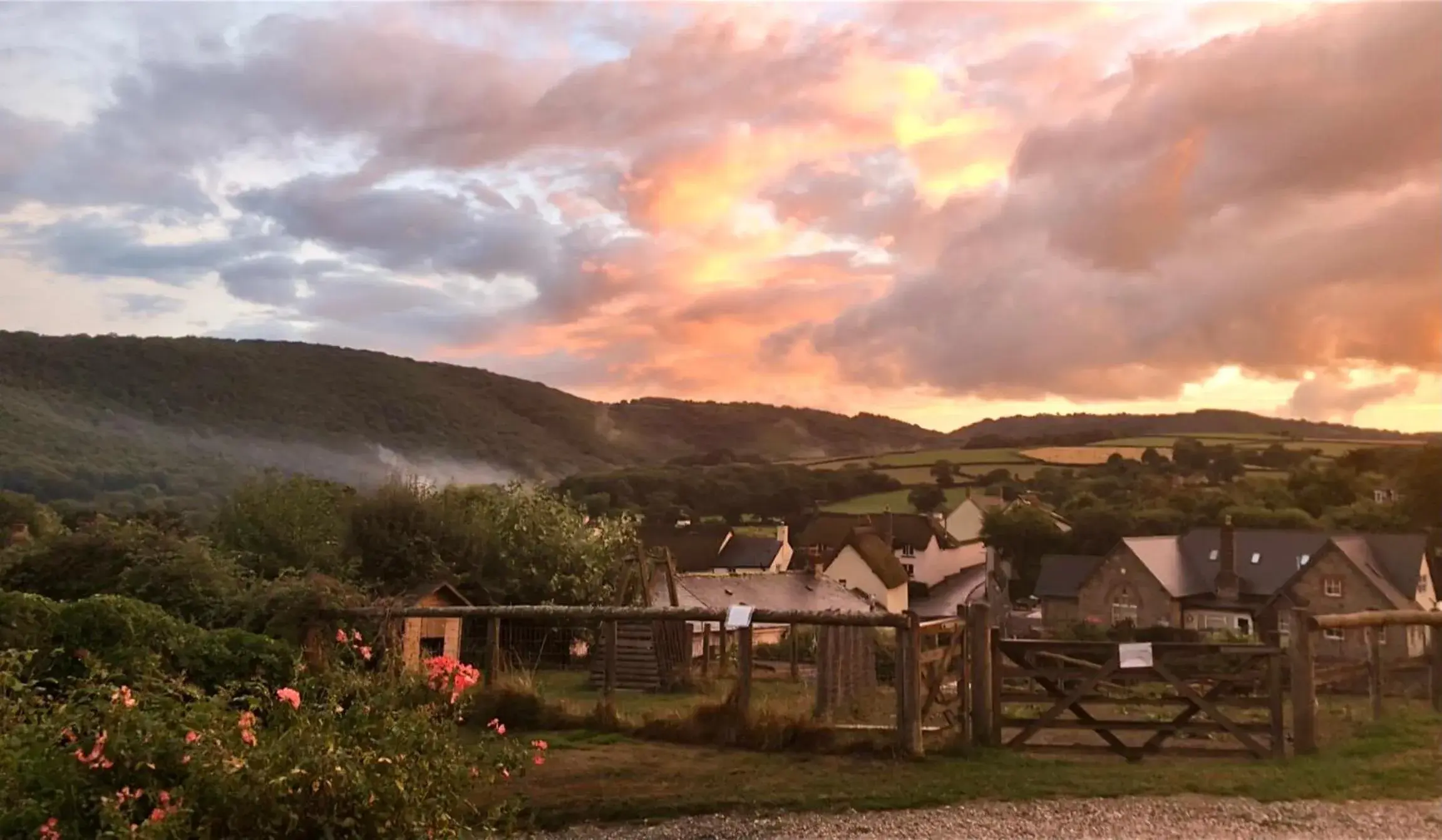 The Royal Oak Inn The Royal Oak Inn