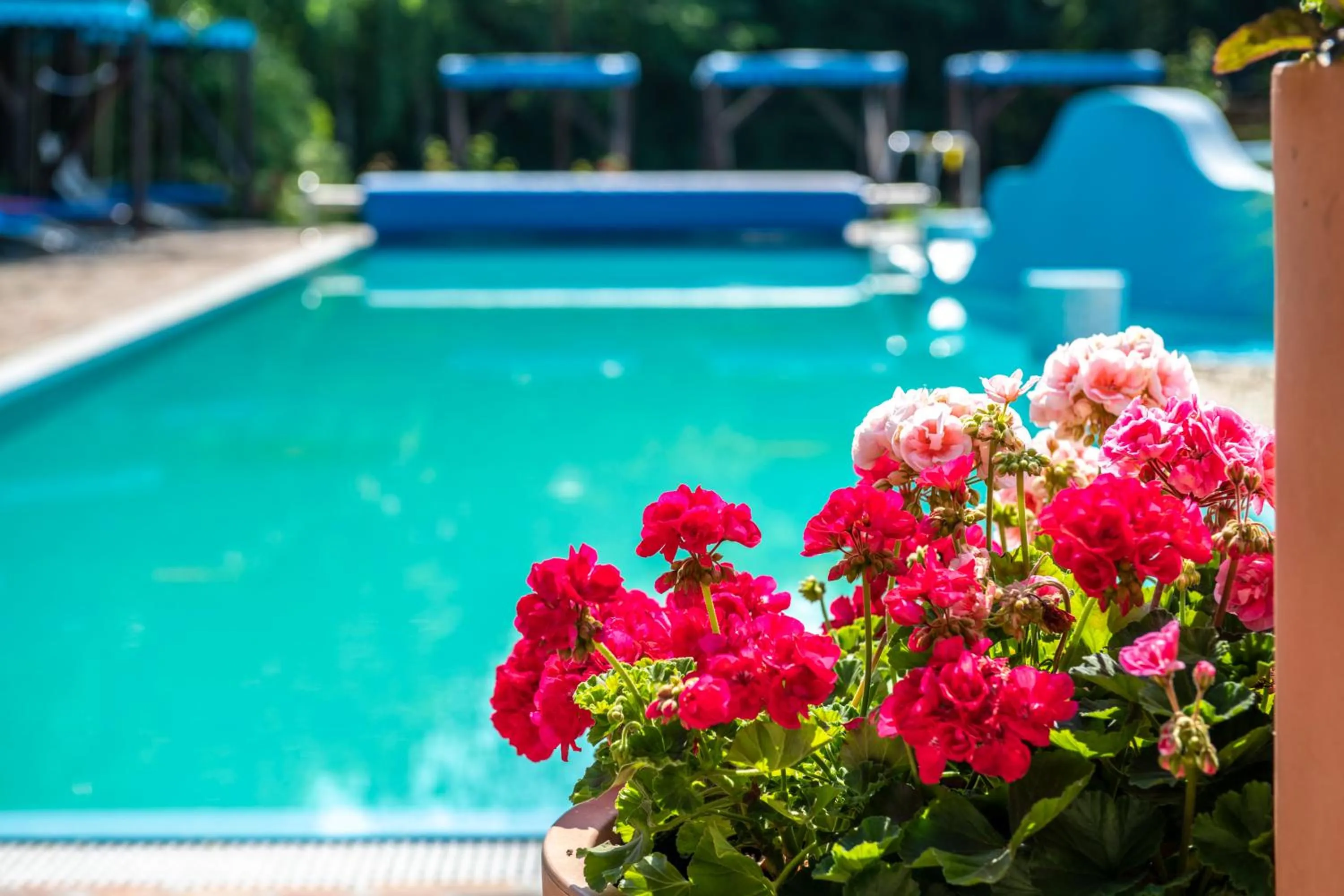 Pool view in Duna Relax Hotel Ráckeve