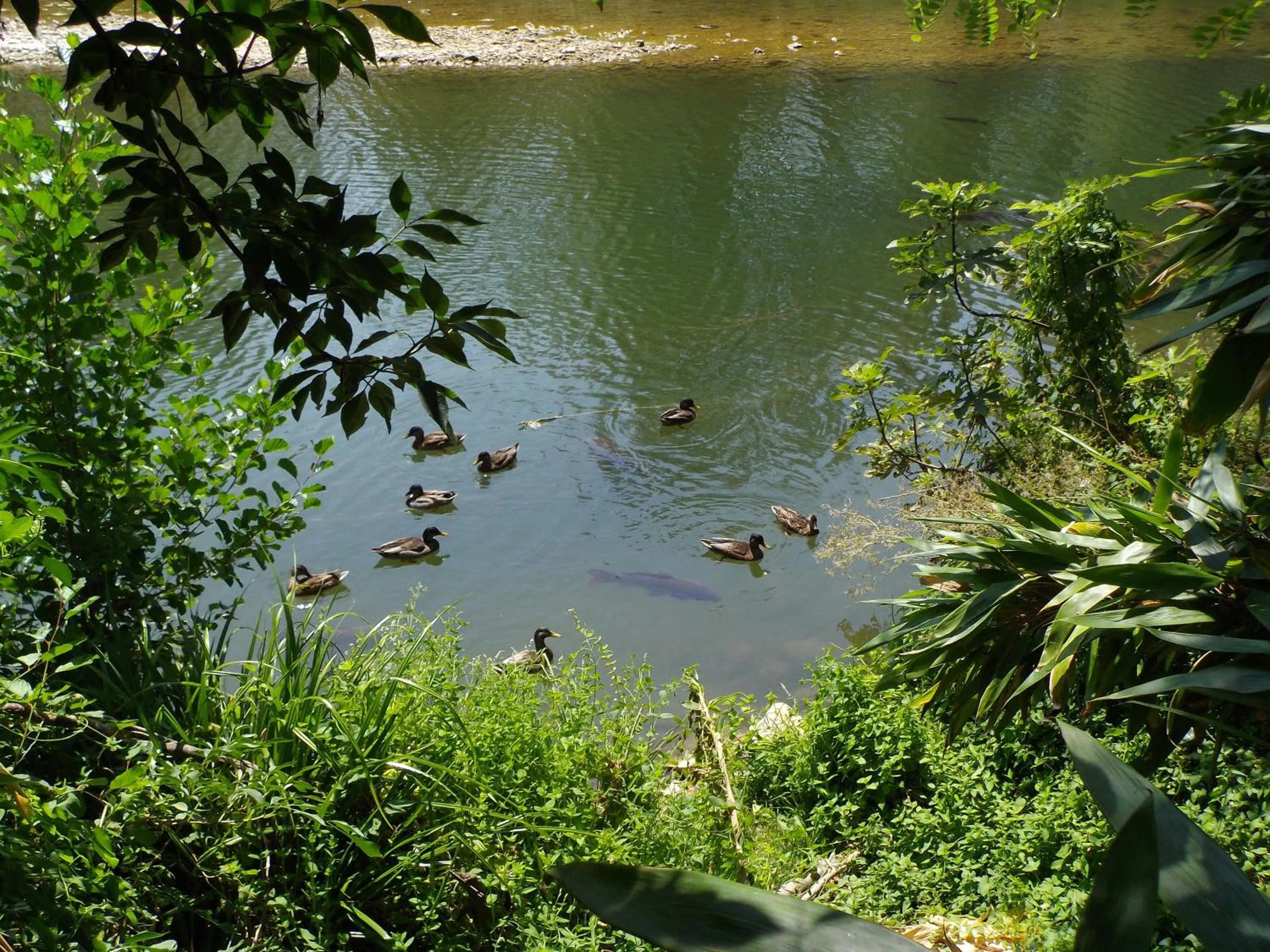 Logis des Magnans -Les terrasses du Coutach -