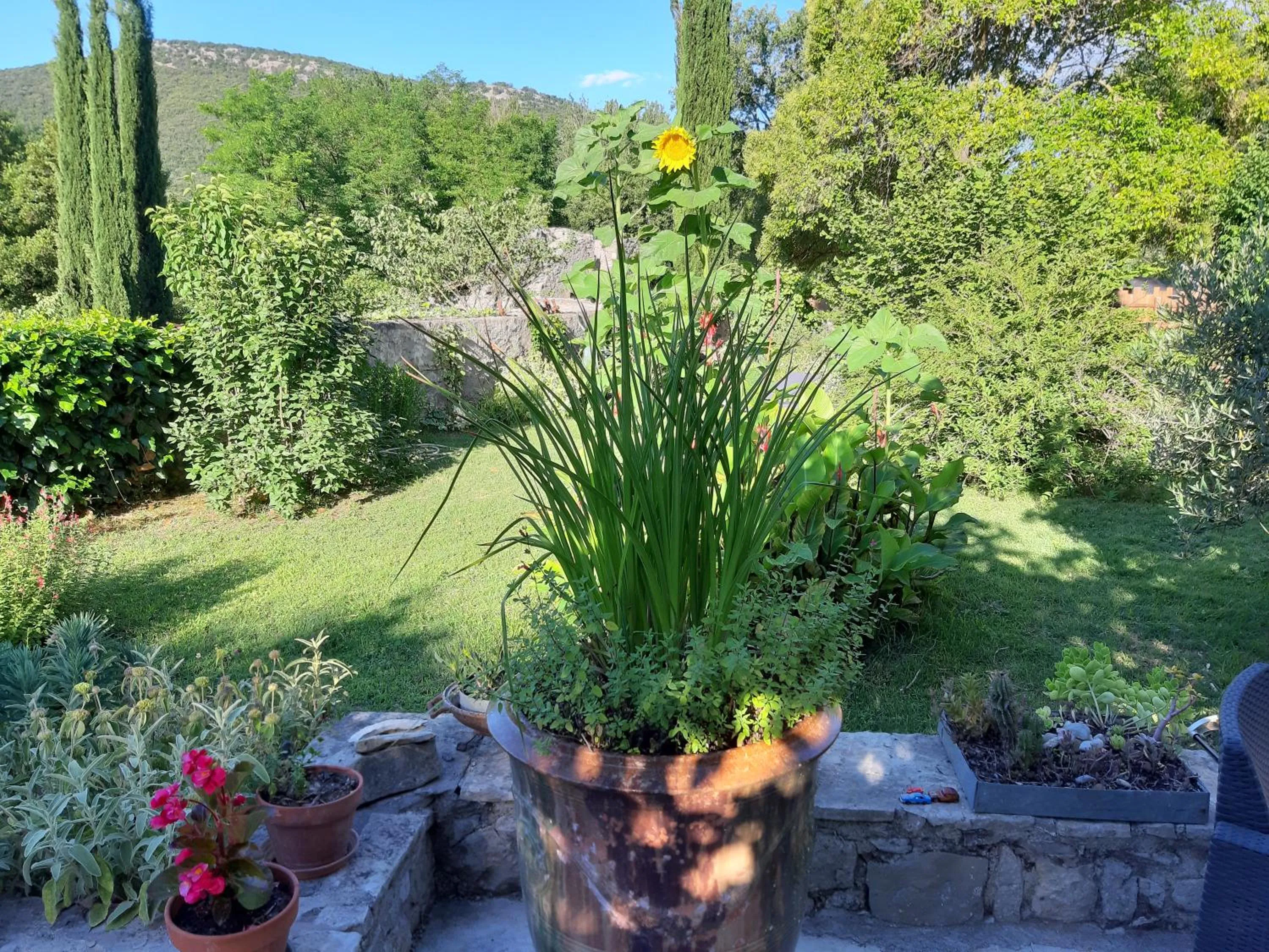 Logis des Magnans -Les terrasses du Coutach -