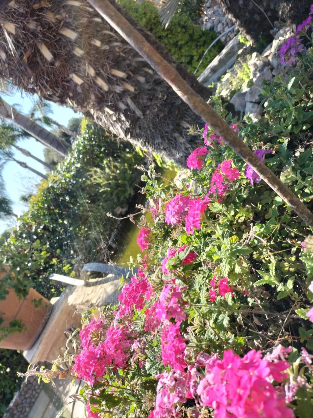 Spring in Tettoeletto Garden Bio