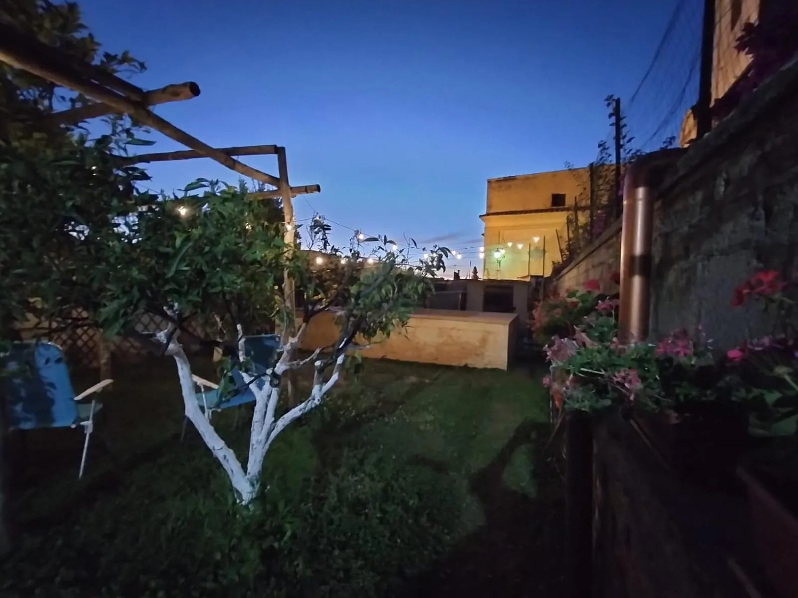 Night in Tettoeletto Garden Bio