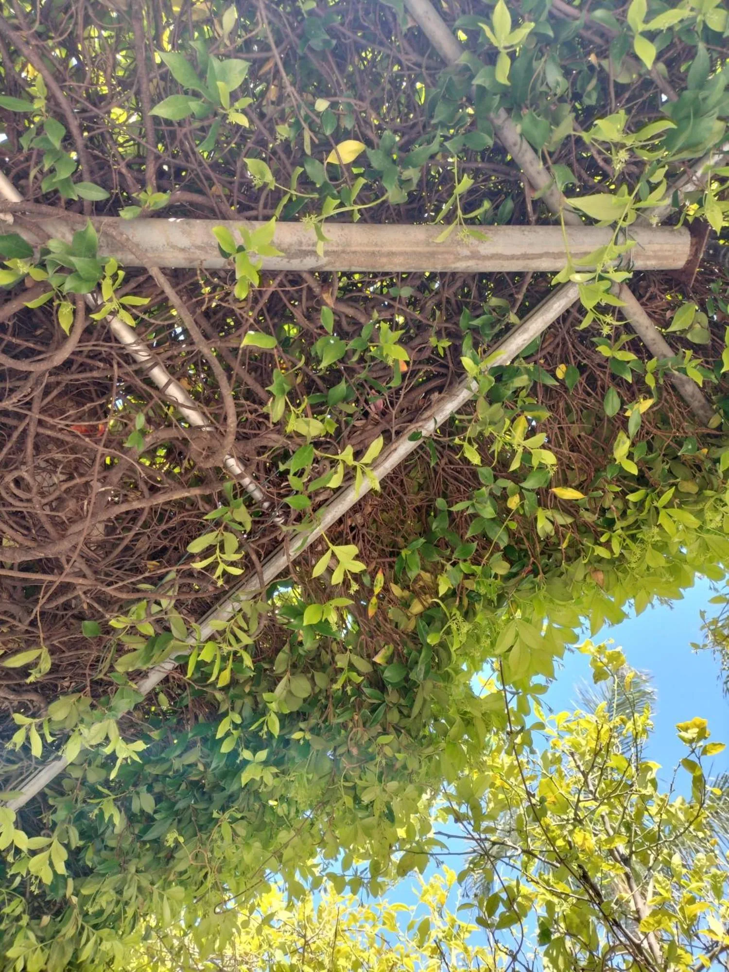 Spring in Tettoeletto Garden Bio