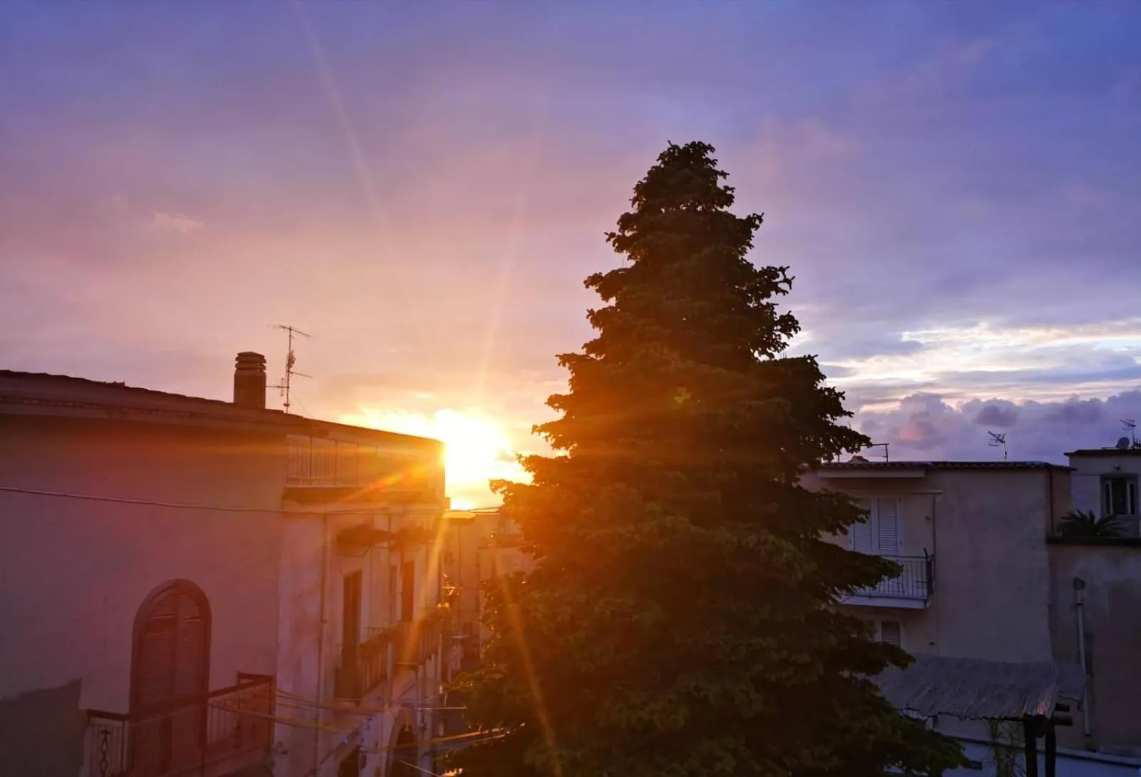 Sunset in Tettoeletto Garden Bio