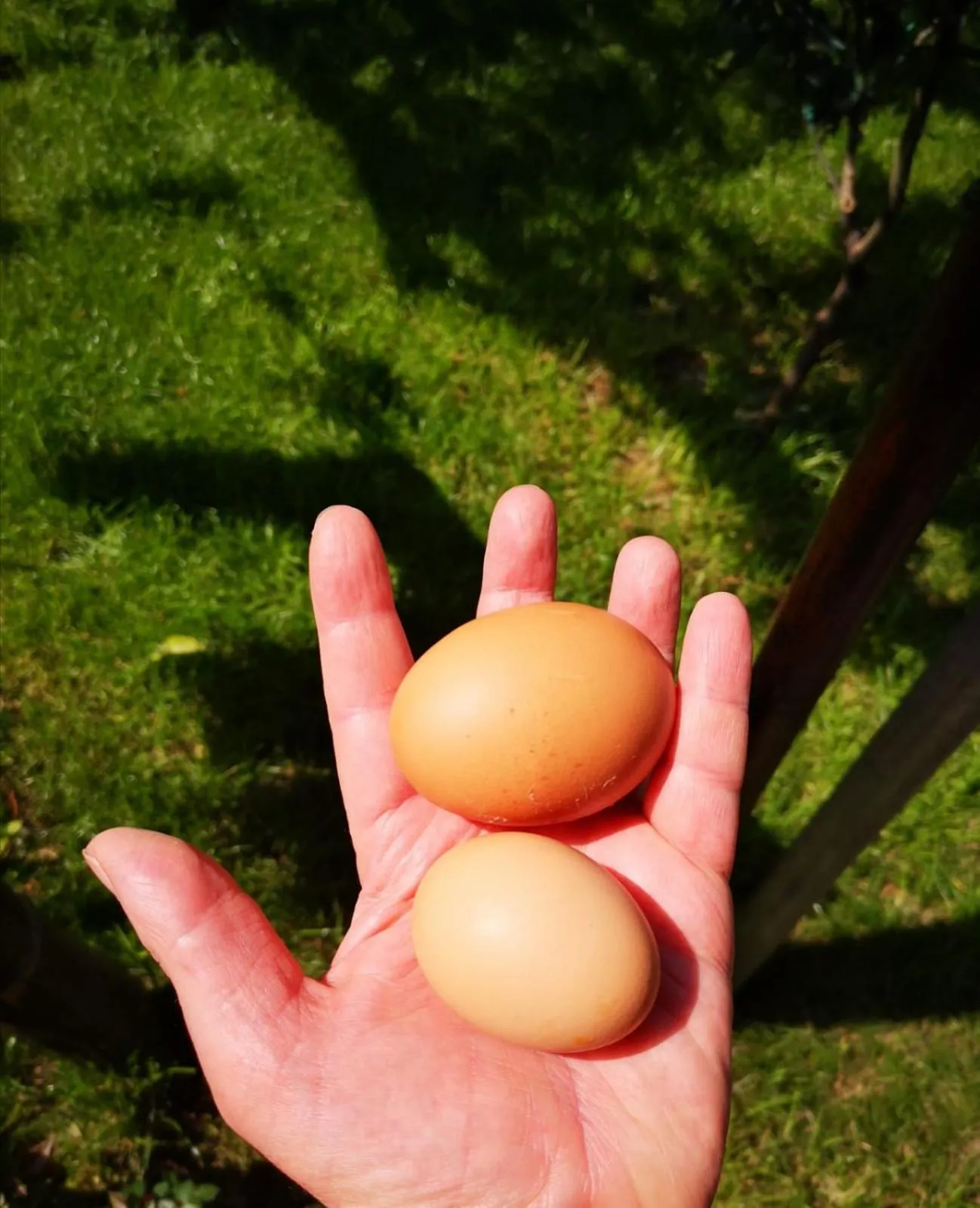 Spring in Tettoeletto Garden Bio