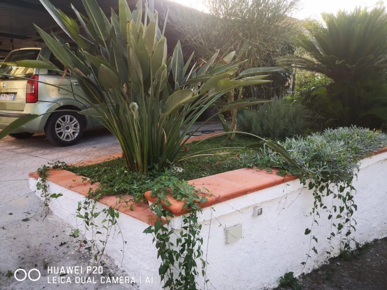 Spring in Tettoeletto Garden Bio