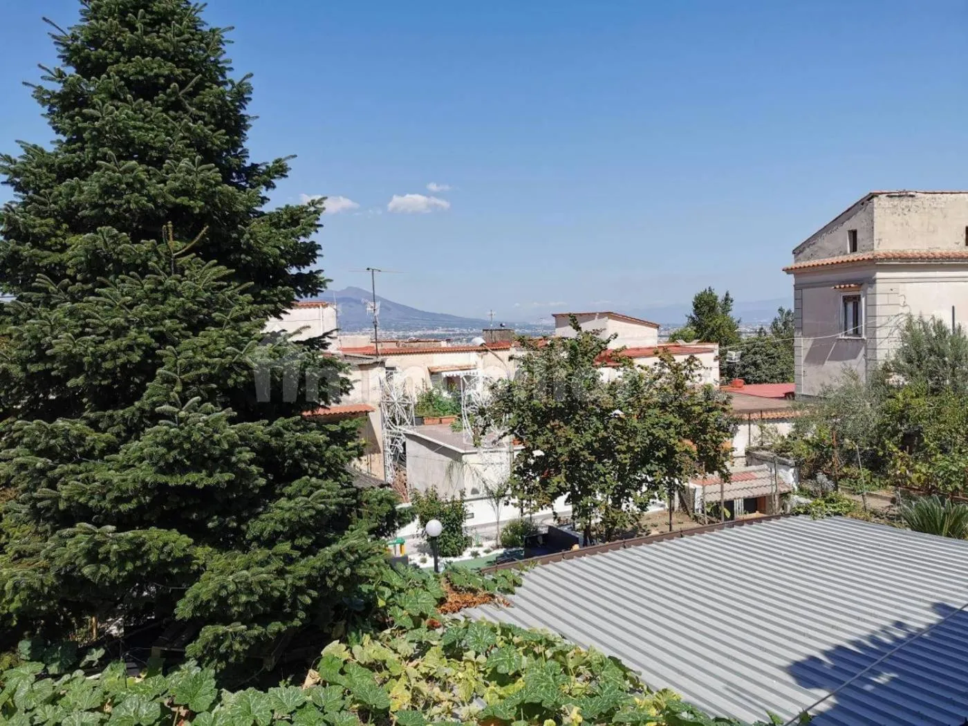 Spring in Tettoeletto Garden Bio