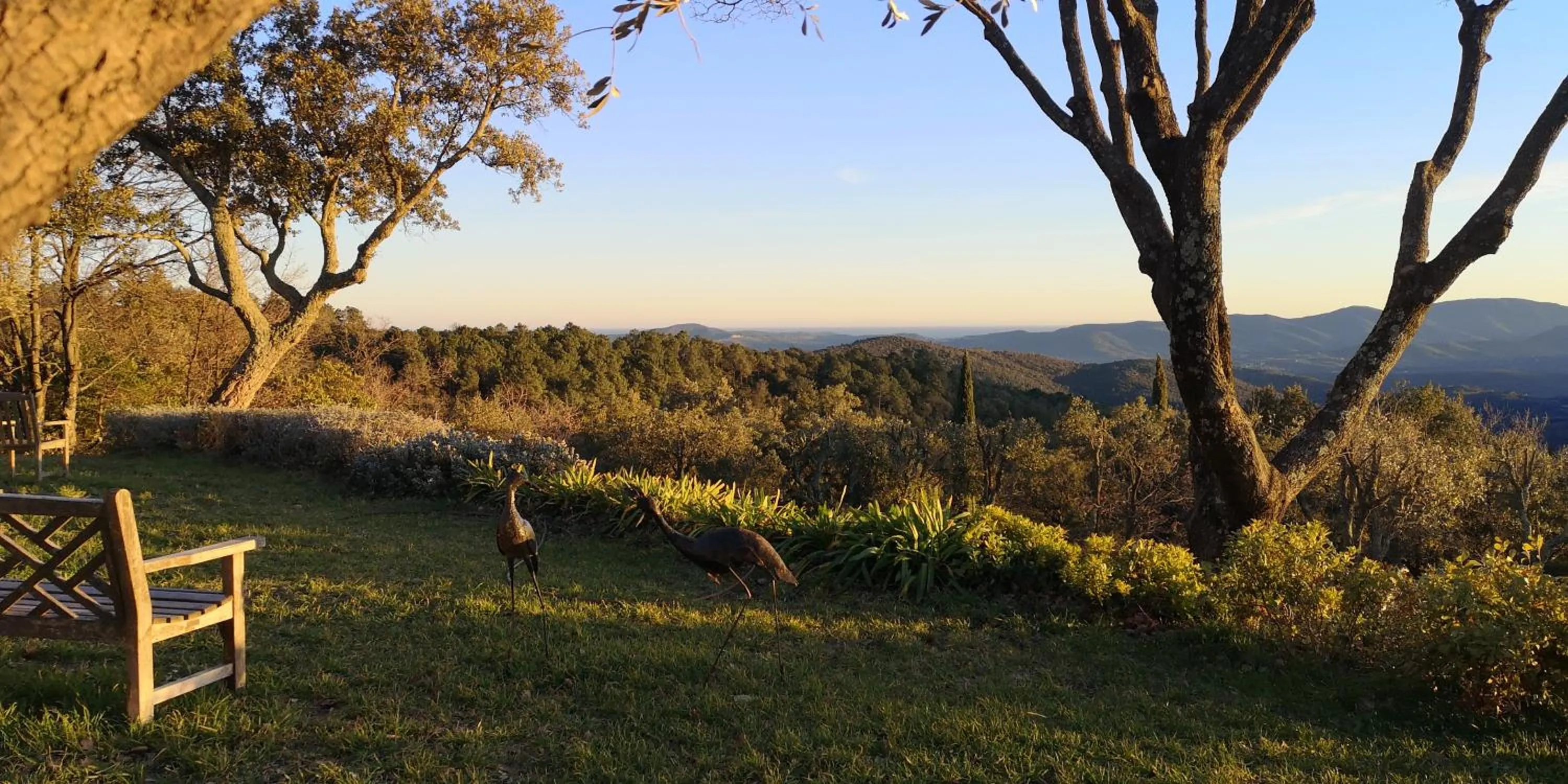 Natural landscape in Domaine des Chênes de la Galline