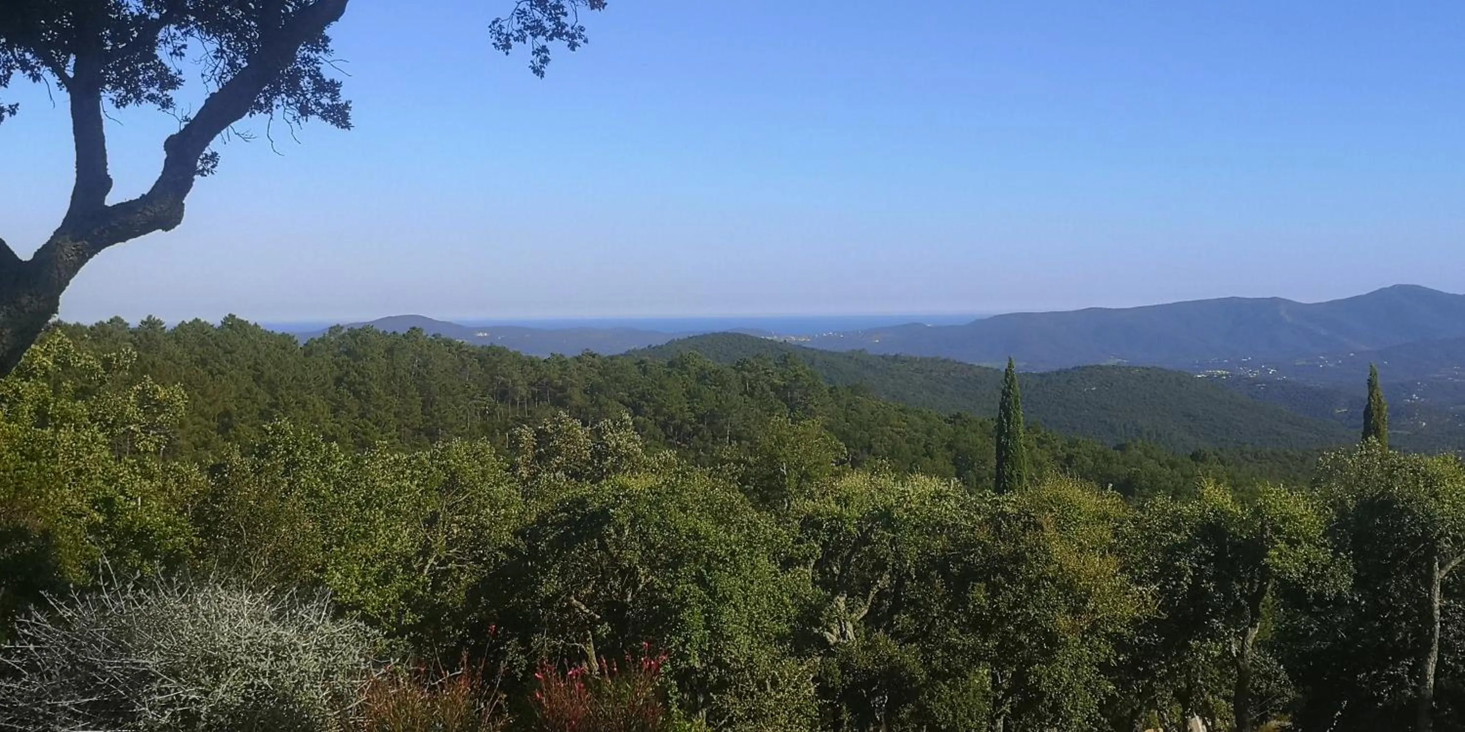 Natural landscape in Domaine des Chênes de la Galline