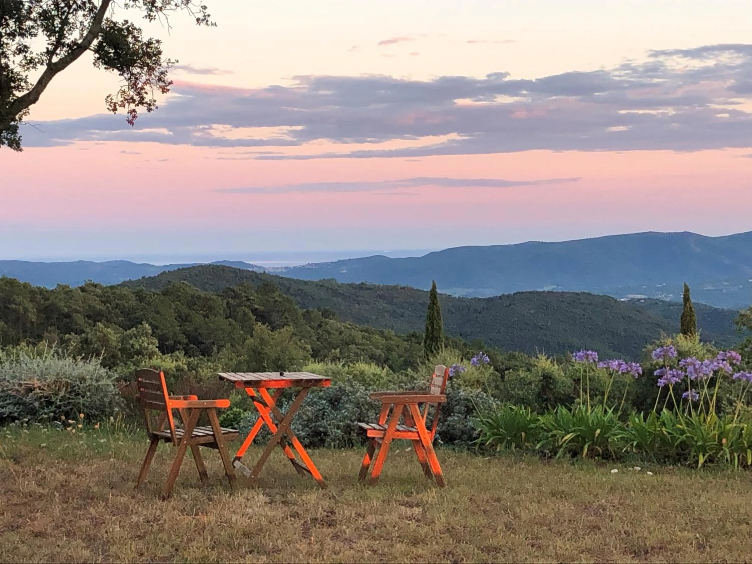 Natural landscape in Domaine des Chênes de la Galline