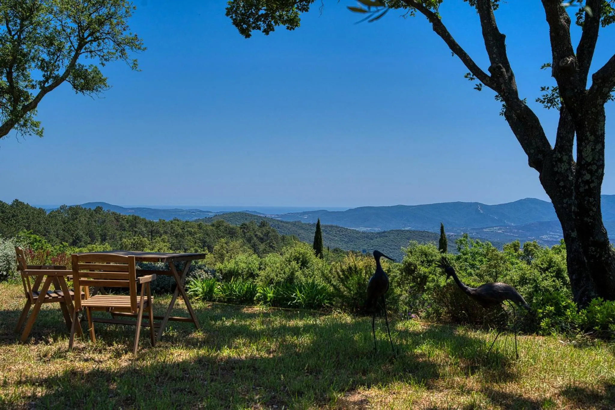 Natural landscape in Domaine des Chênes de la Galline