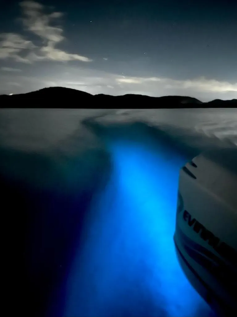 Beach in Turtle Bay Inn