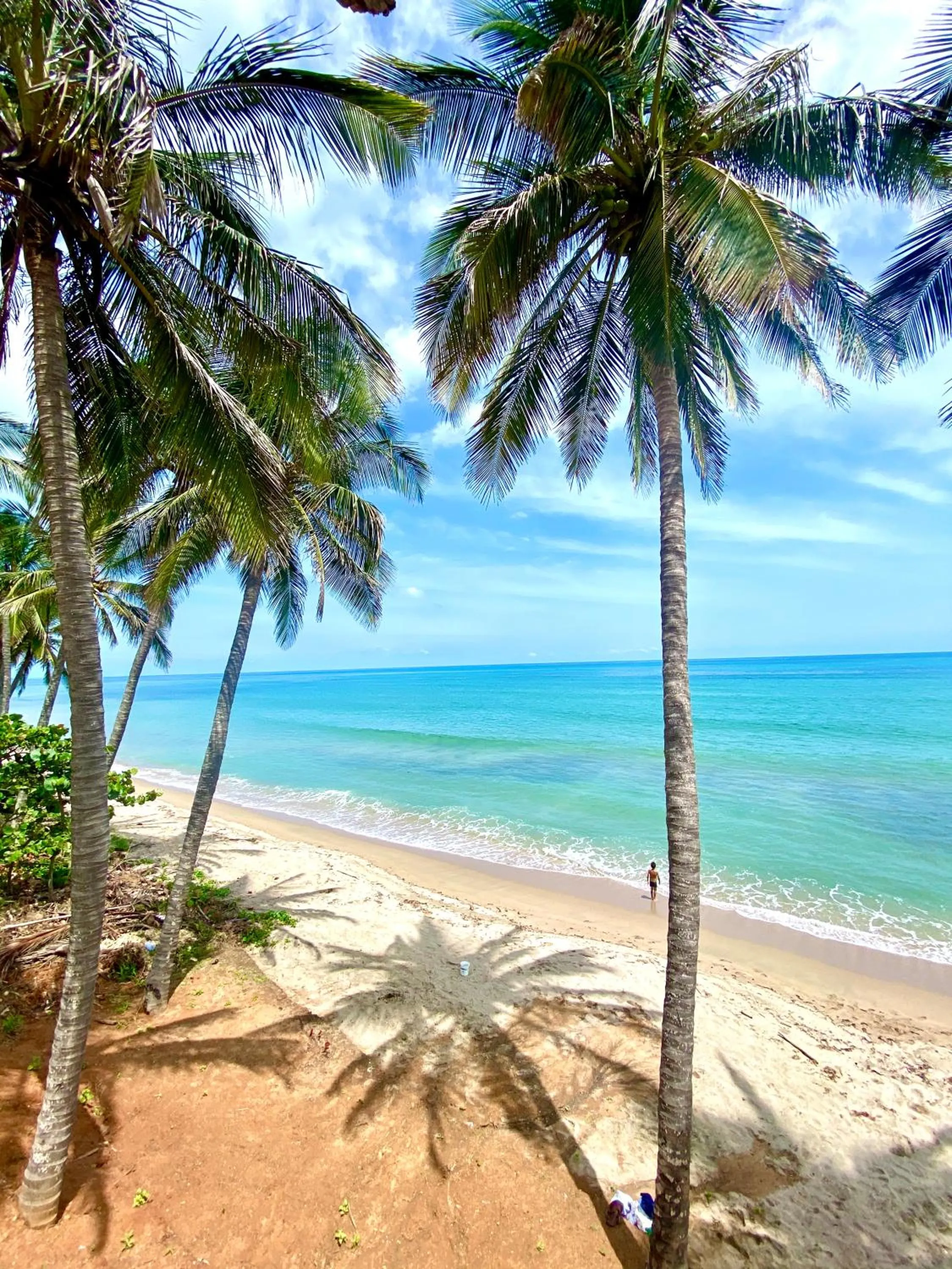 Summer in RCH LUXURY HOTEL & POOL